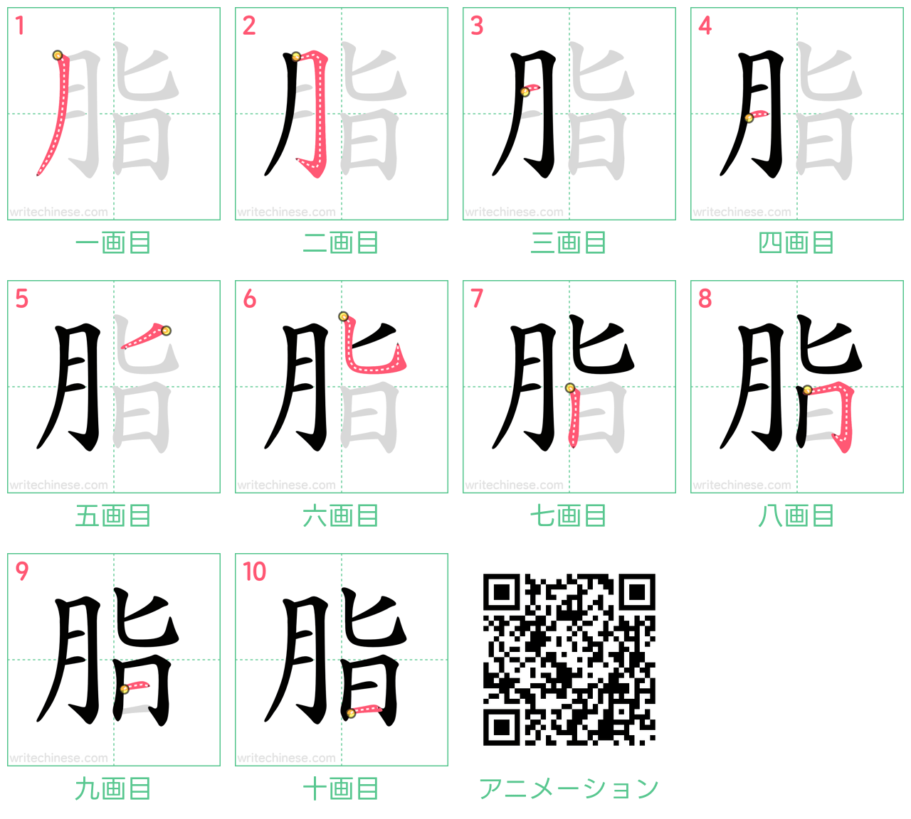 中国語の漢字「脂」の書き順 筆順