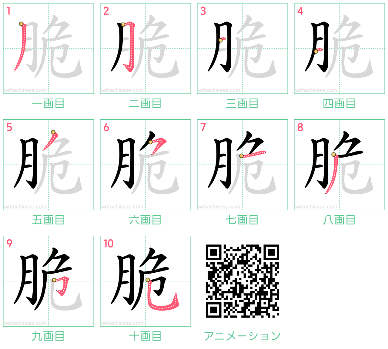 中国語の漢字「脆」の書き順 筆順