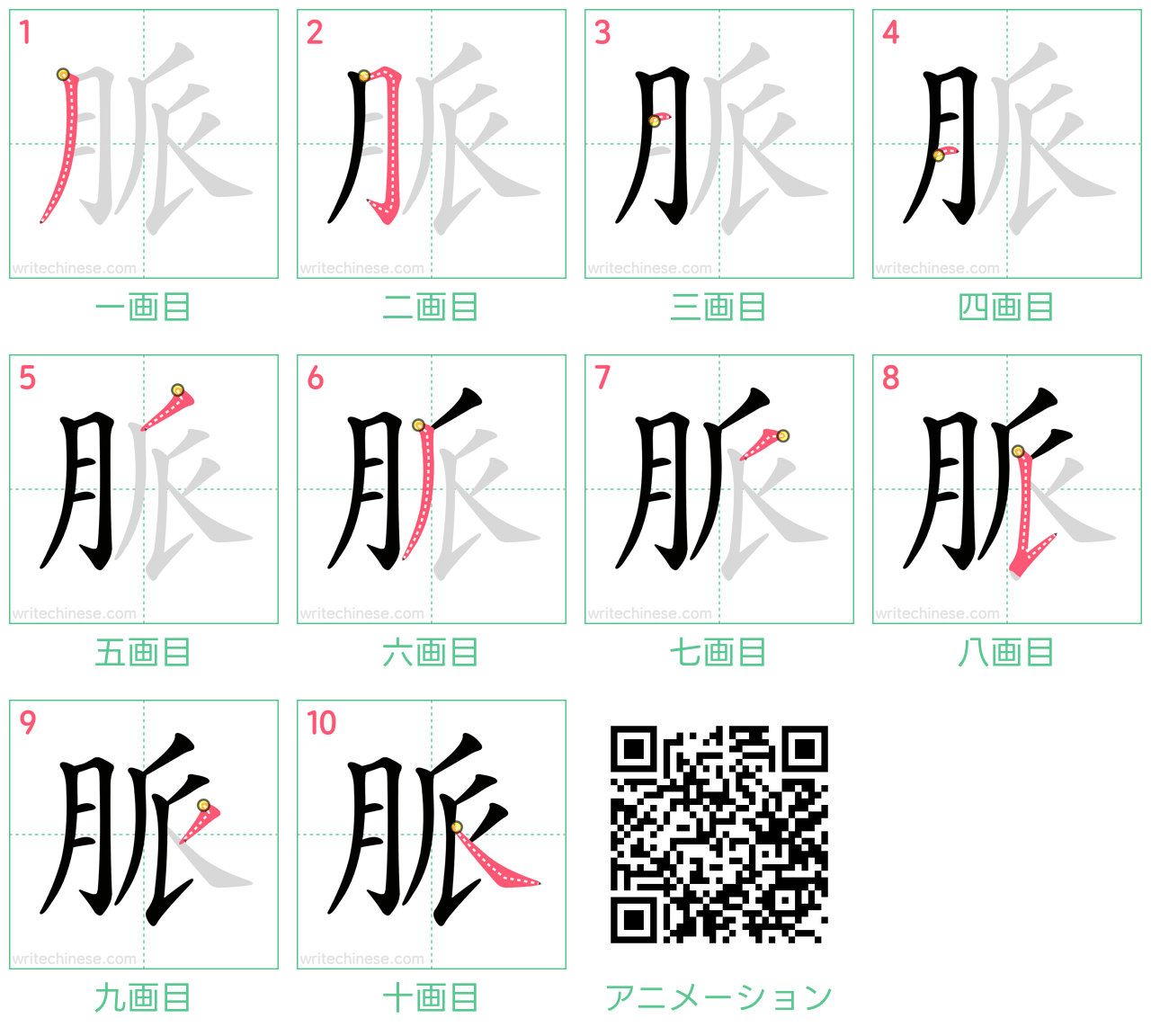 中国語の漢字「脈」の書き順 筆順