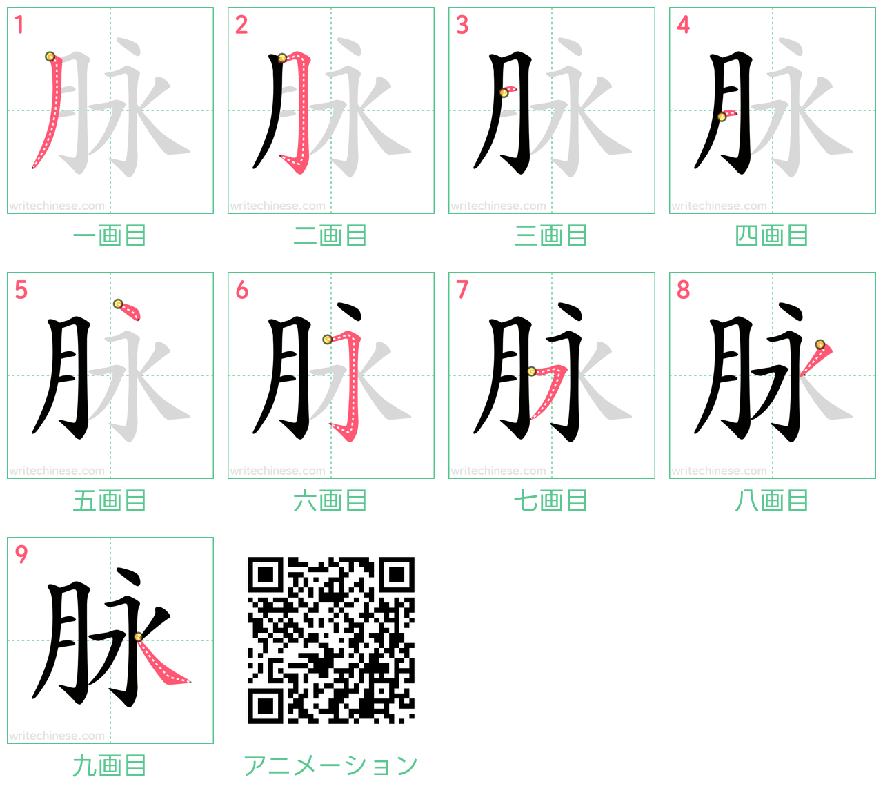 中国語の漢字「脉」の書き順 筆順
