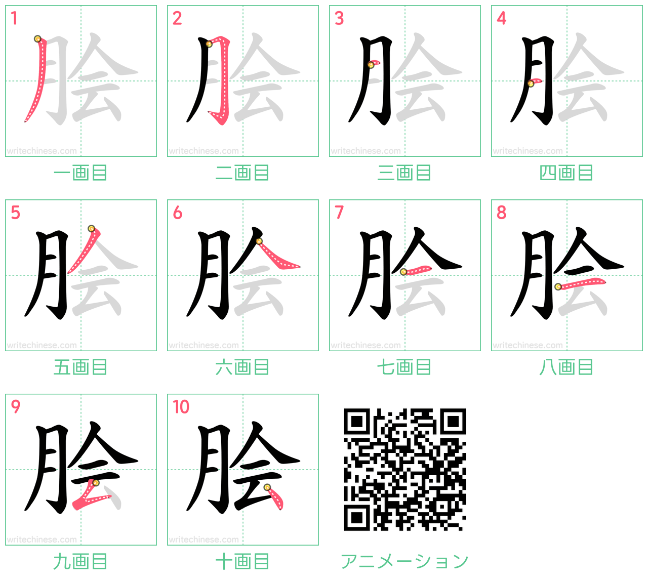 中国語の漢字「脍」の書き順 筆順