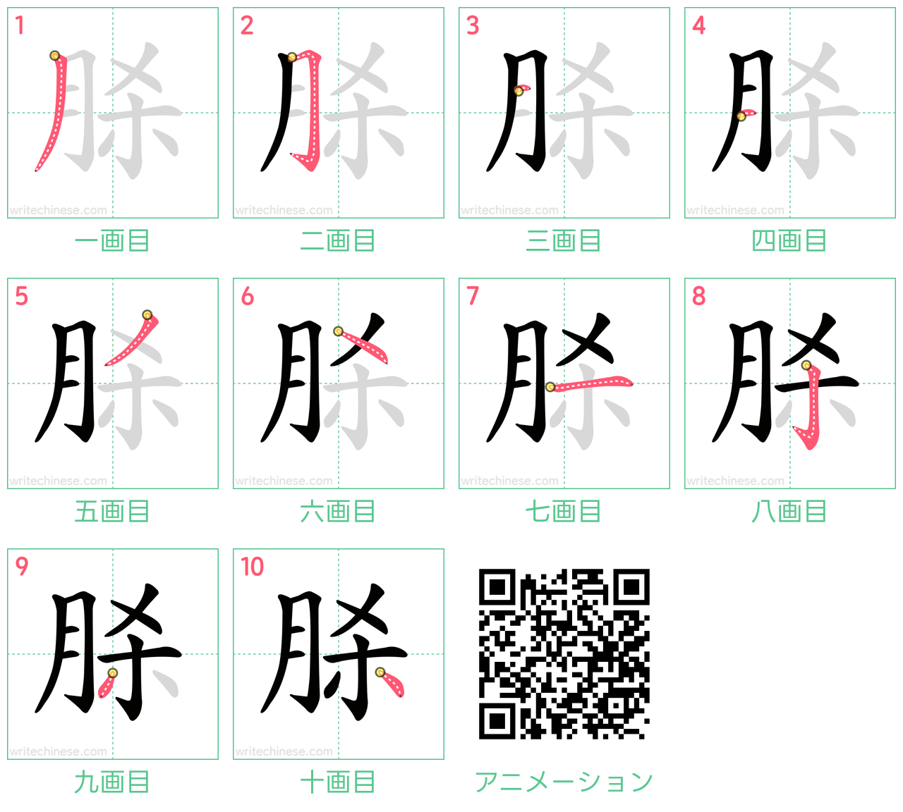 中国語の漢字「脎」の書き順 筆順