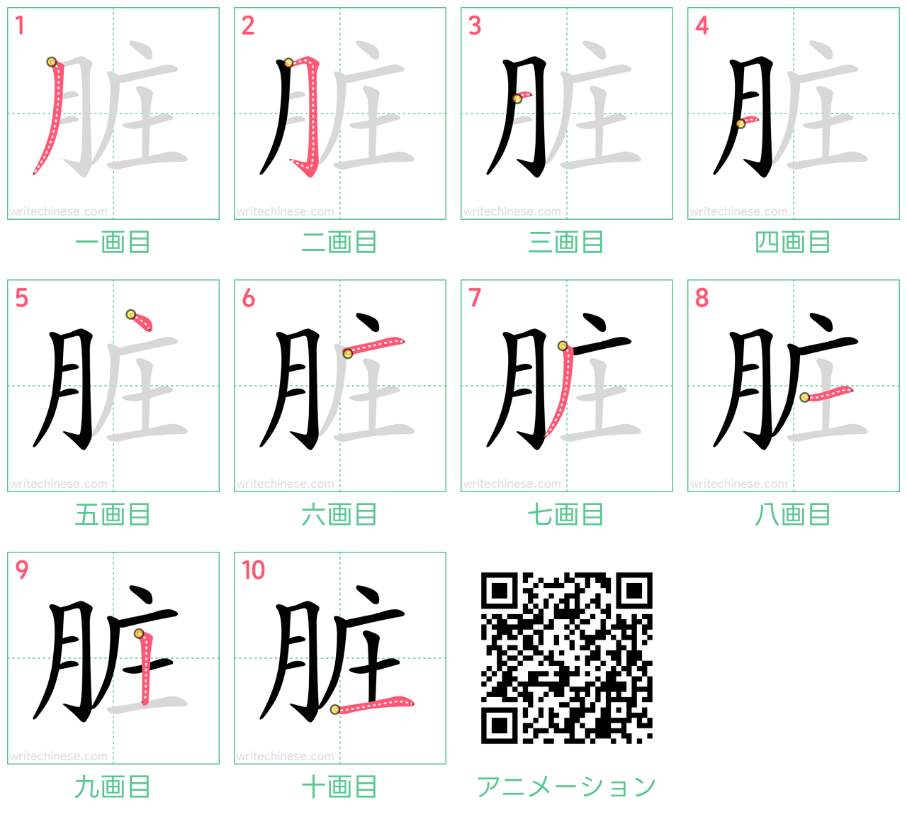 中国語の漢字「脏」の書き順 筆順