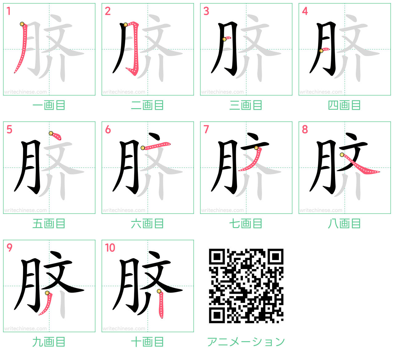 中国語の漢字「脐」の書き順 筆順