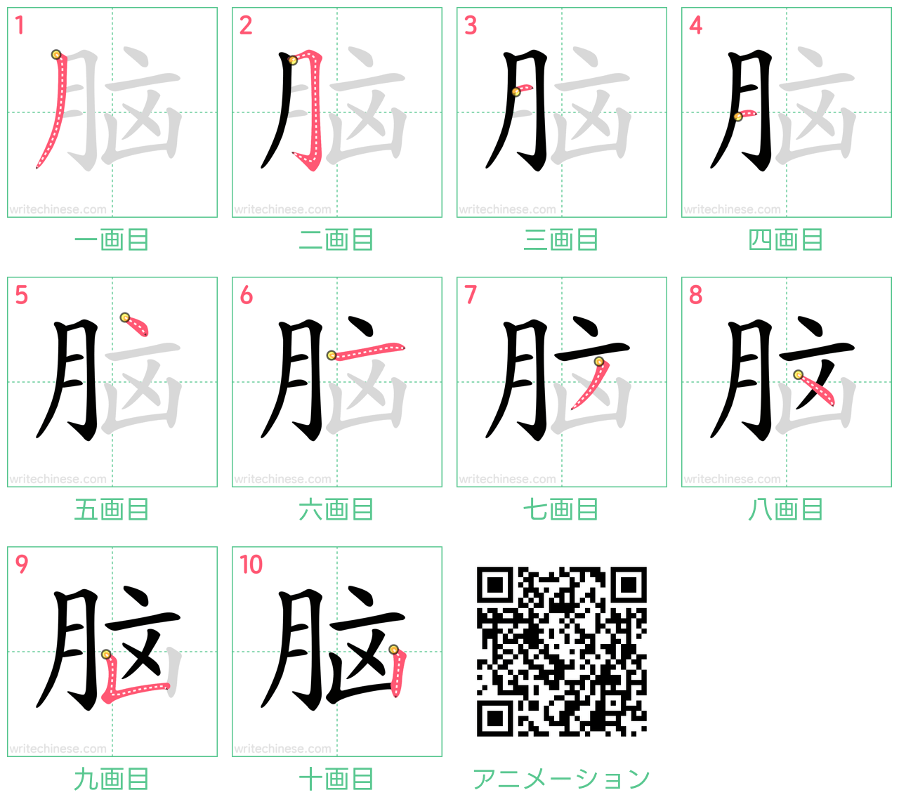 中国語の漢字「脑」の書き順 筆順