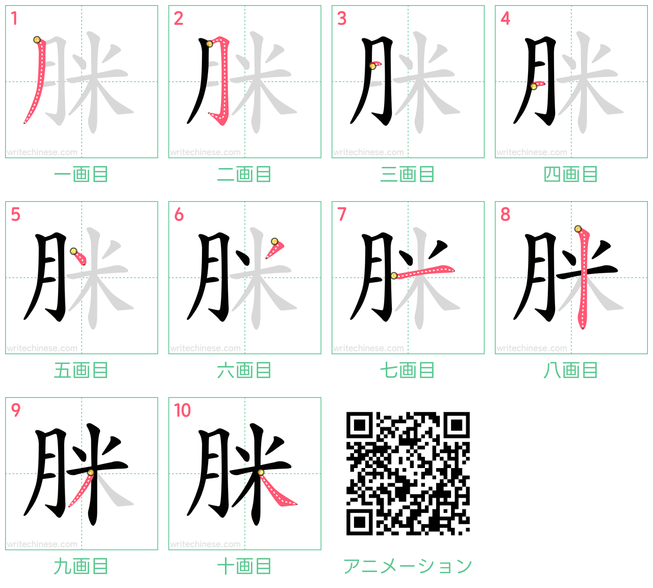 中国語の漢字「脒」の書き順 筆順