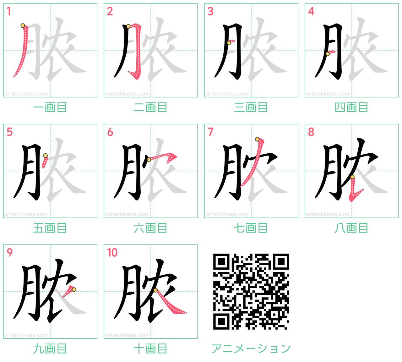 中国語の漢字「脓」の書き順 筆順