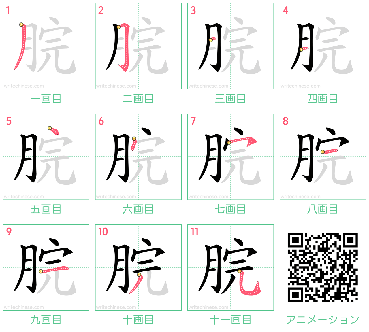 中国語の漢字「脘」の書き順 筆順
