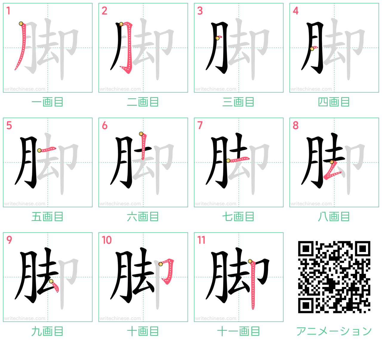 中国語の漢字「脚」の書き順 筆順