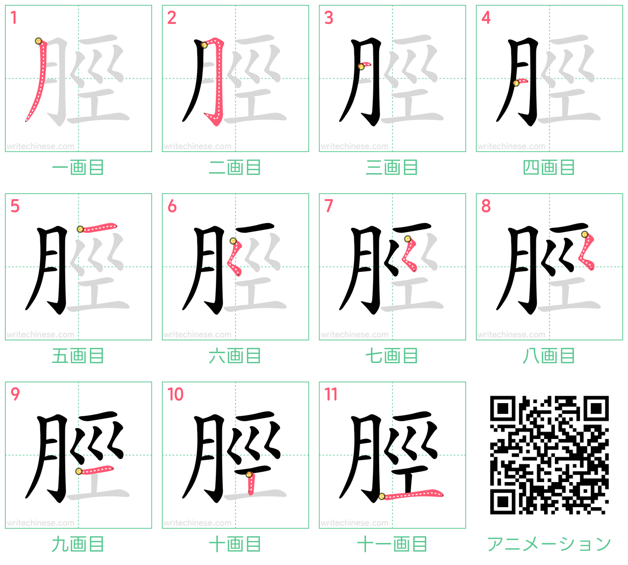 中国語の漢字「脛」の書き順 筆順
