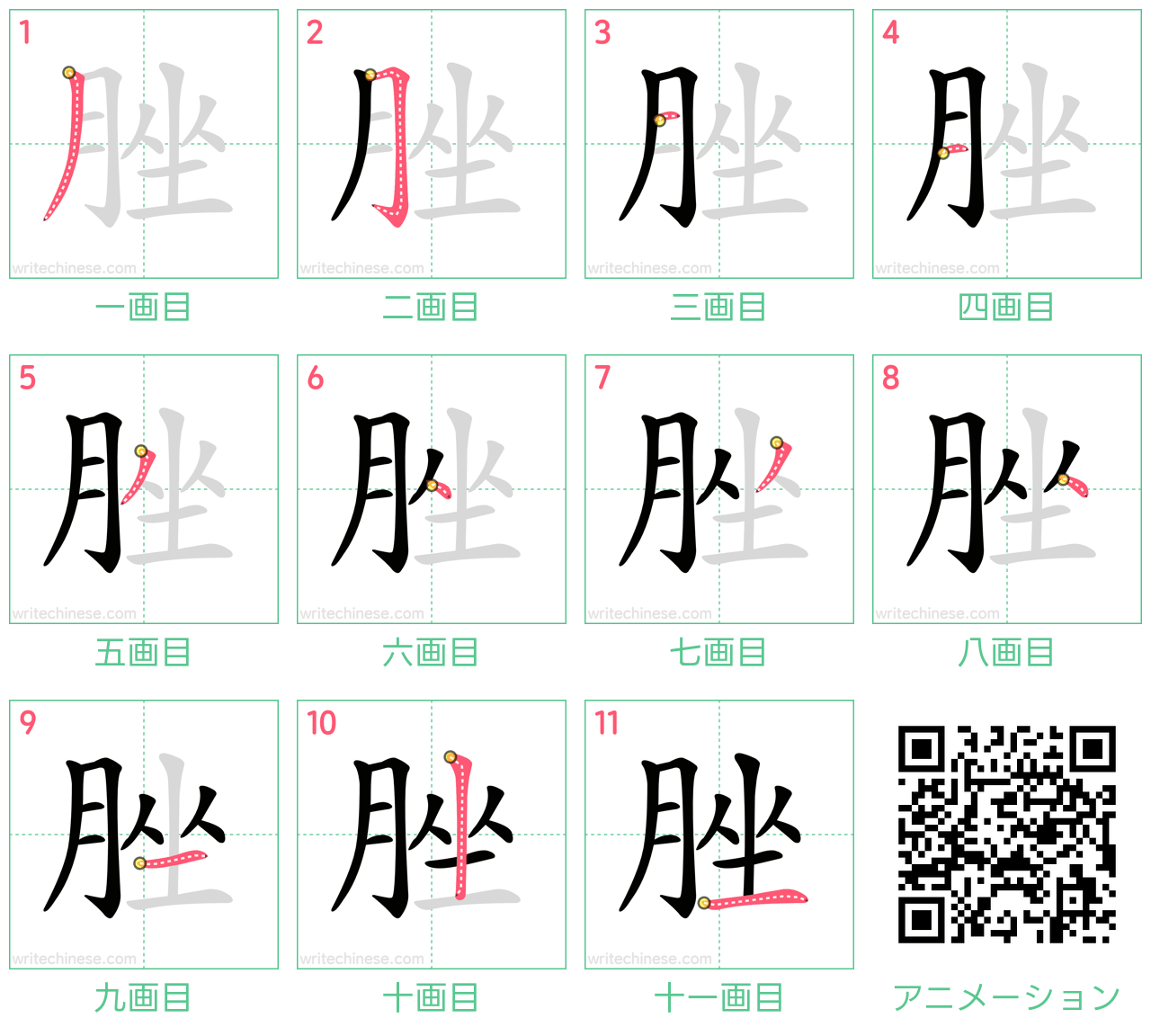 中国語の漢字「脞」の書き順 筆順