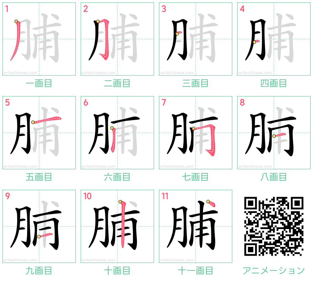 中国語の漢字「脯」の書き順 筆順