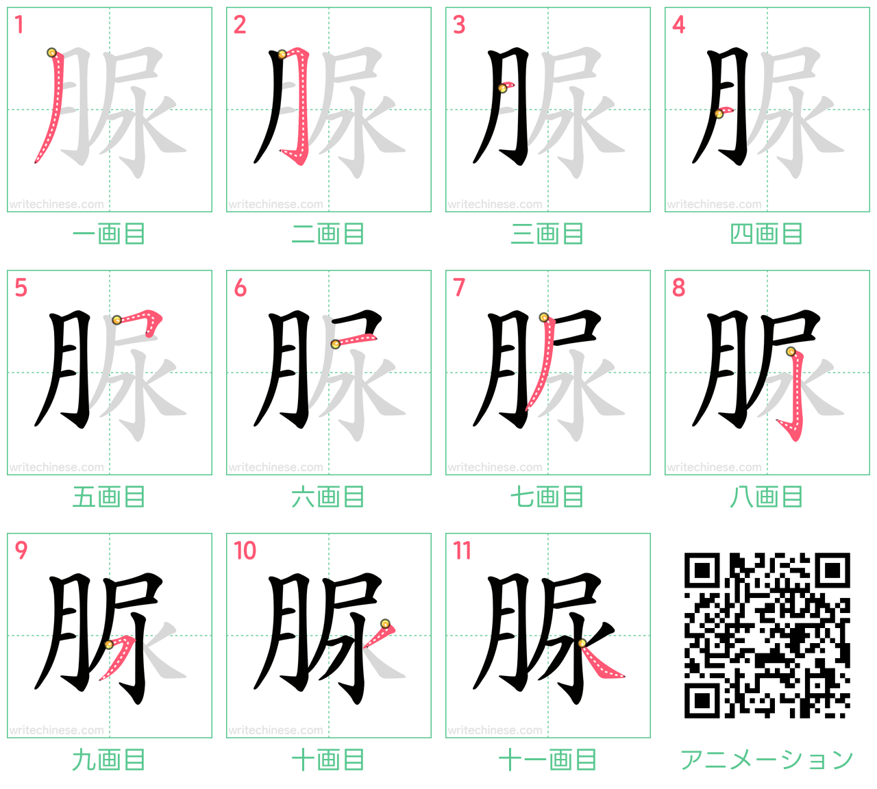 中国語の漢字「脲」の書き順 筆順