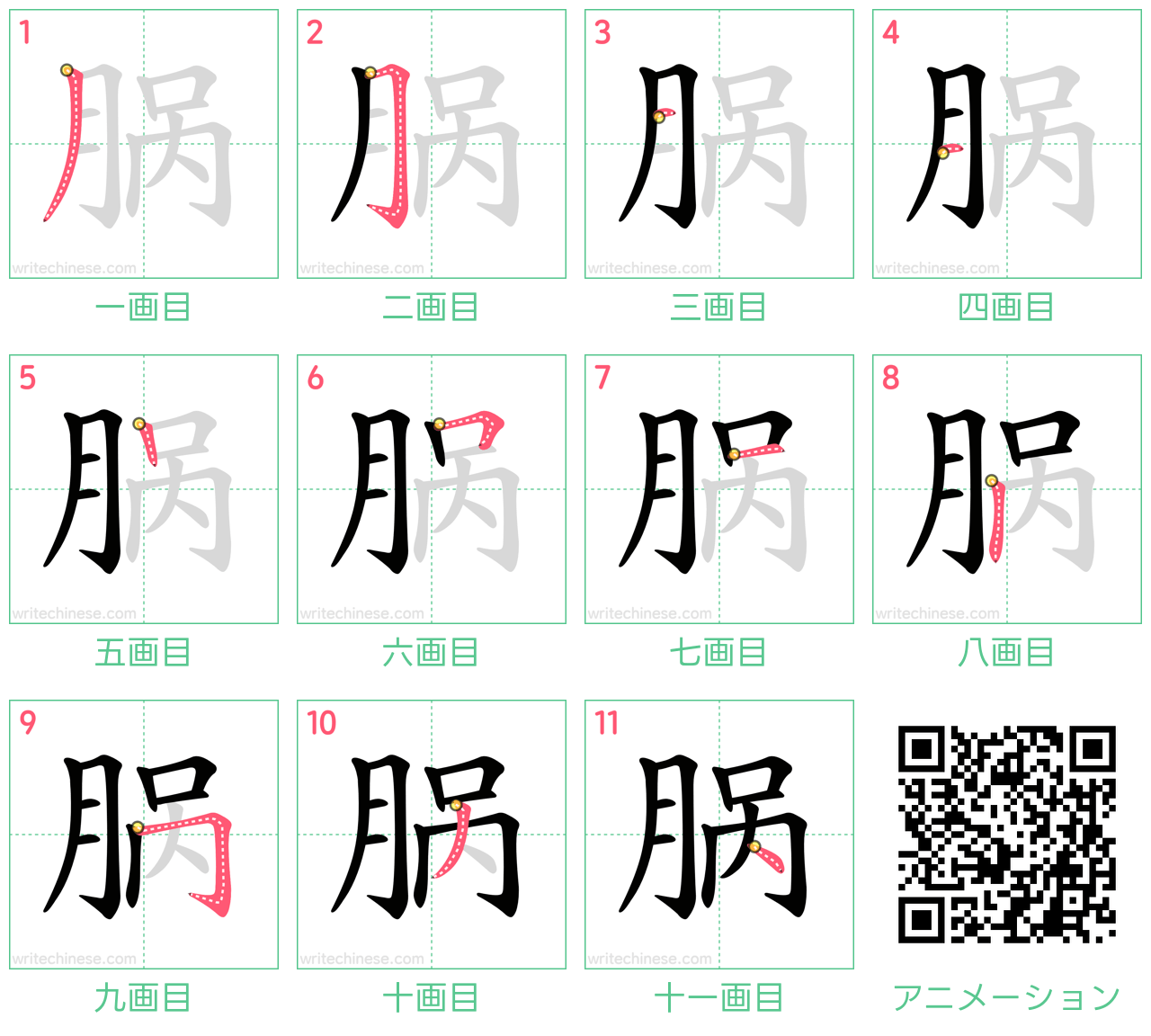 中国語の漢字「脶」の書き順 筆順