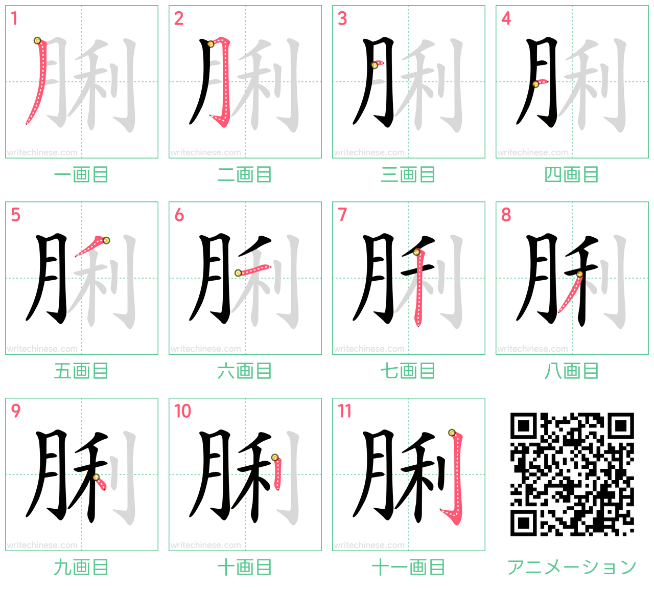 中国語の漢字「脷」の書き順 筆順