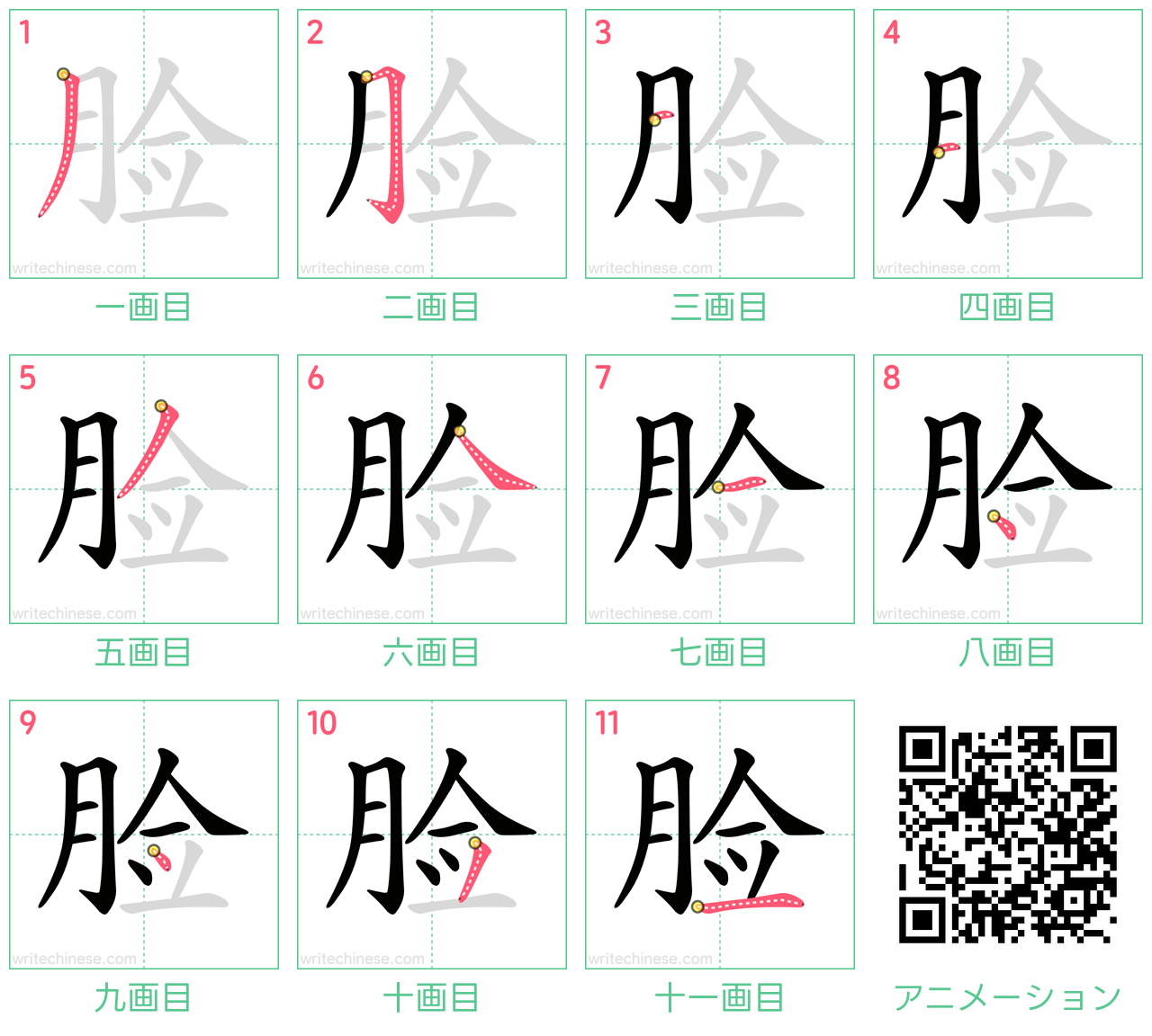 中国語の漢字「脸」の書き順 筆順