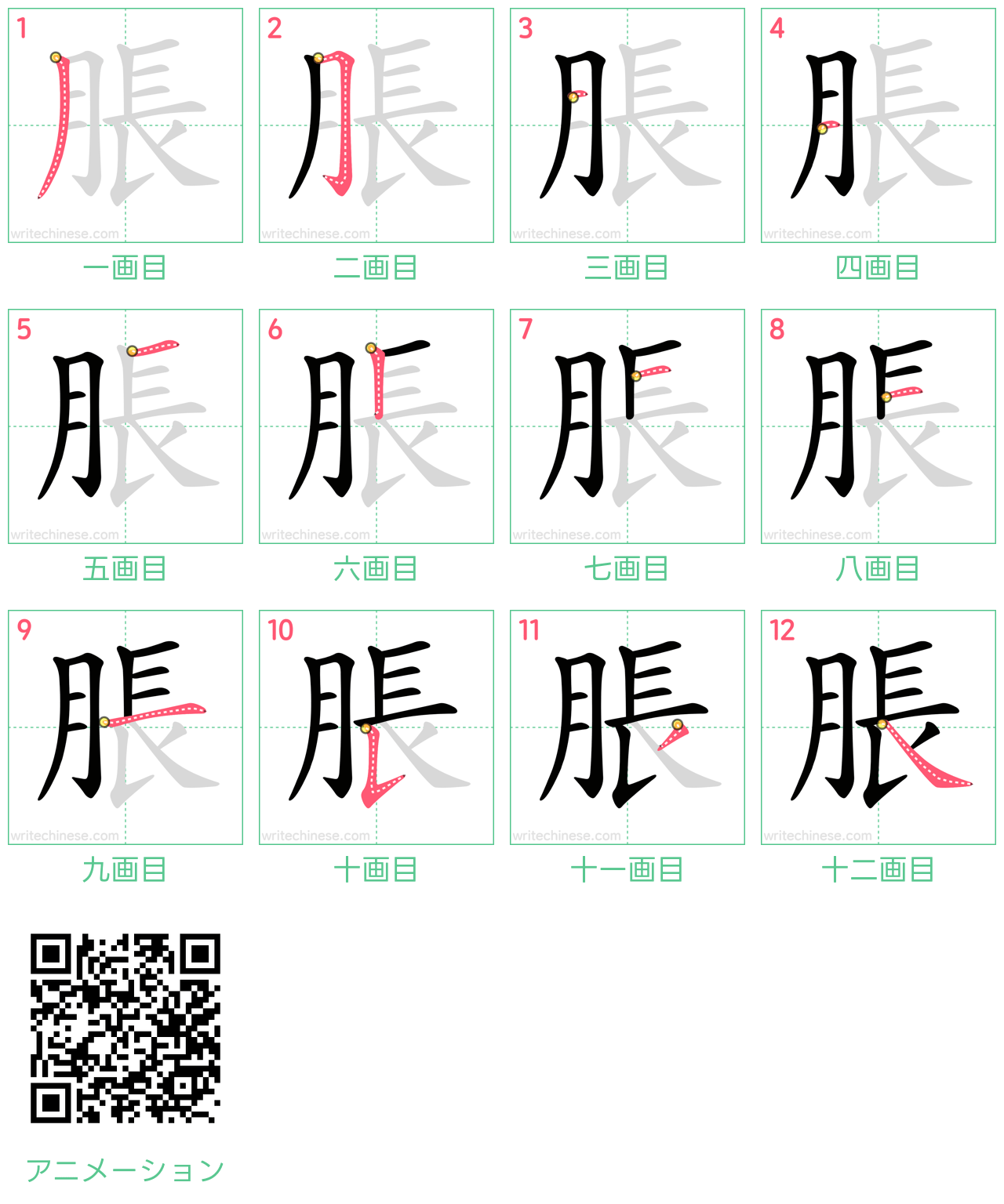 中国語の漢字「脹」の書き順 筆順