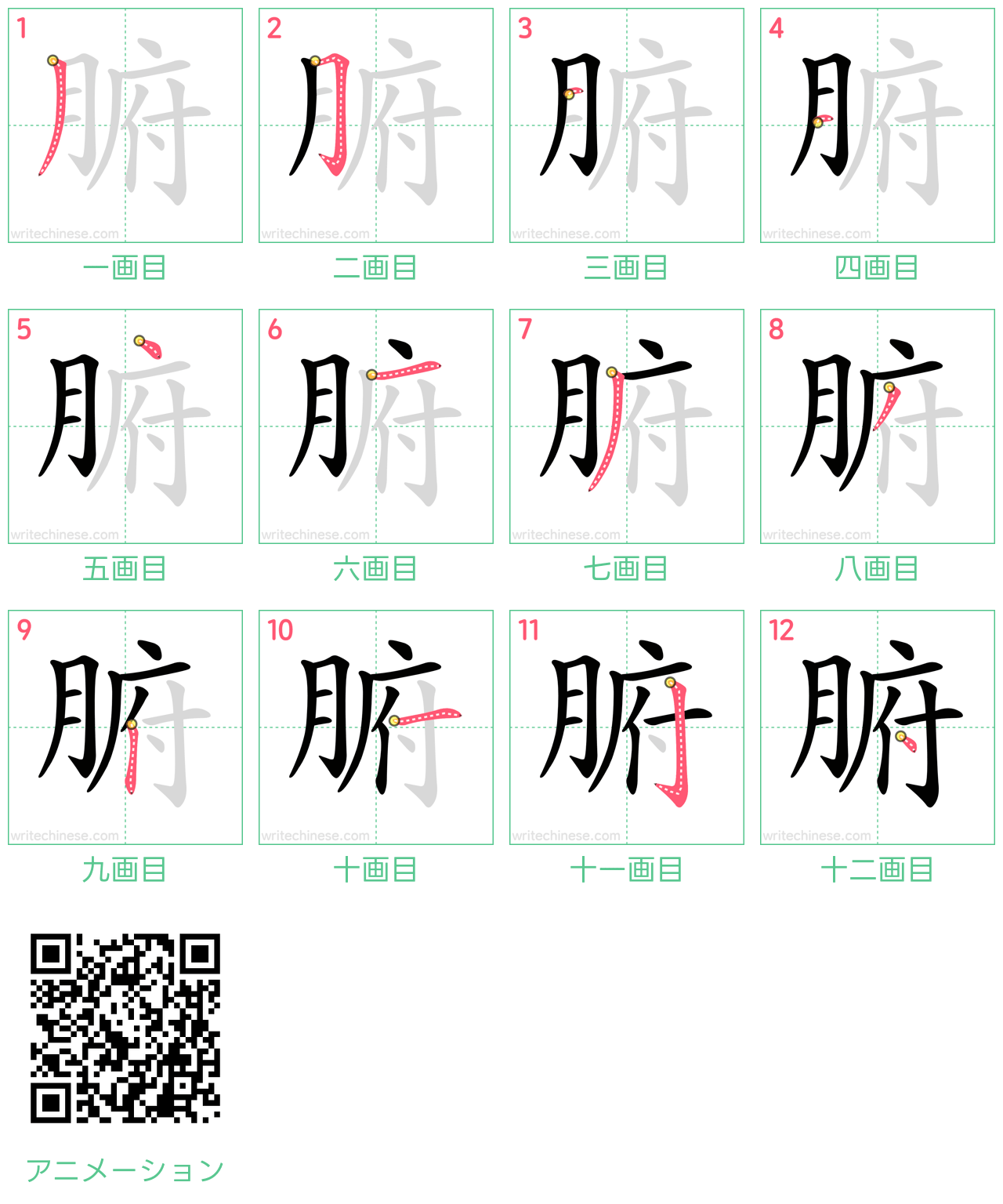 中国語の漢字「腑」の書き順 筆順