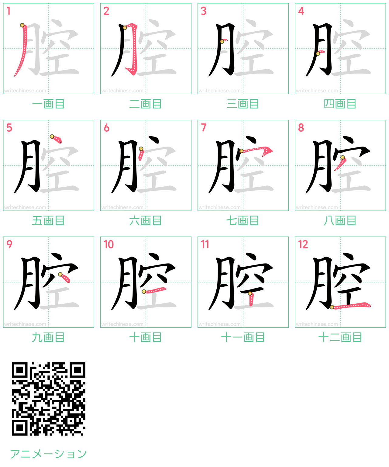 中国語の漢字「腔」の書き順 筆順