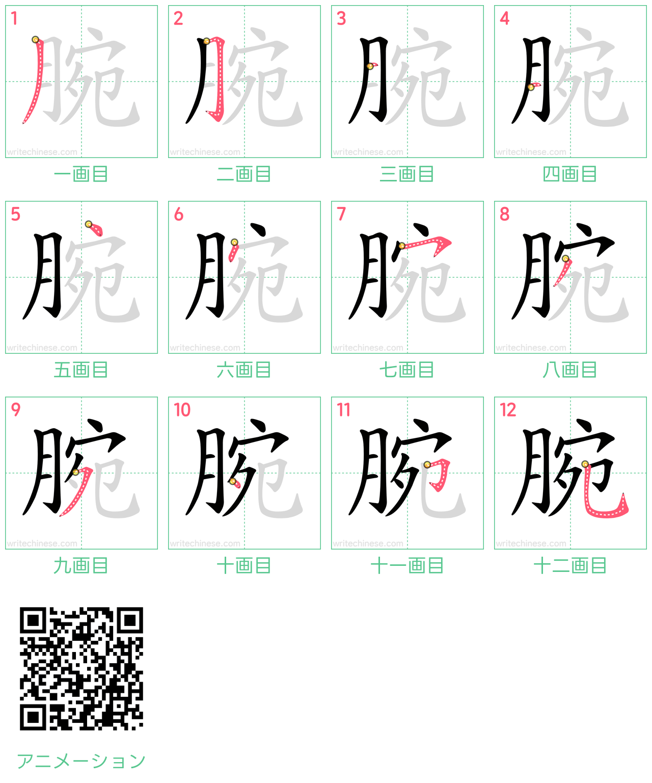 中国語の漢字「腕」の書き順 筆順
