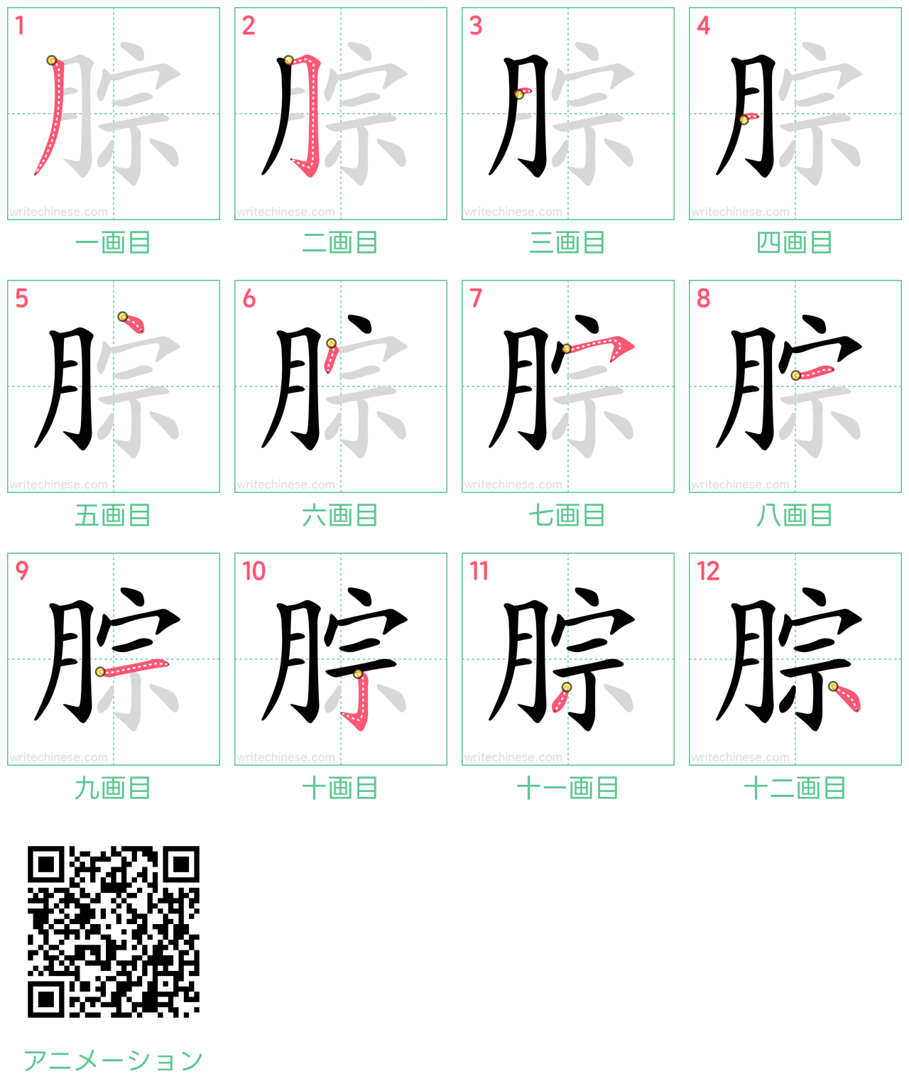 中国語の漢字「腙」の書き順 筆順