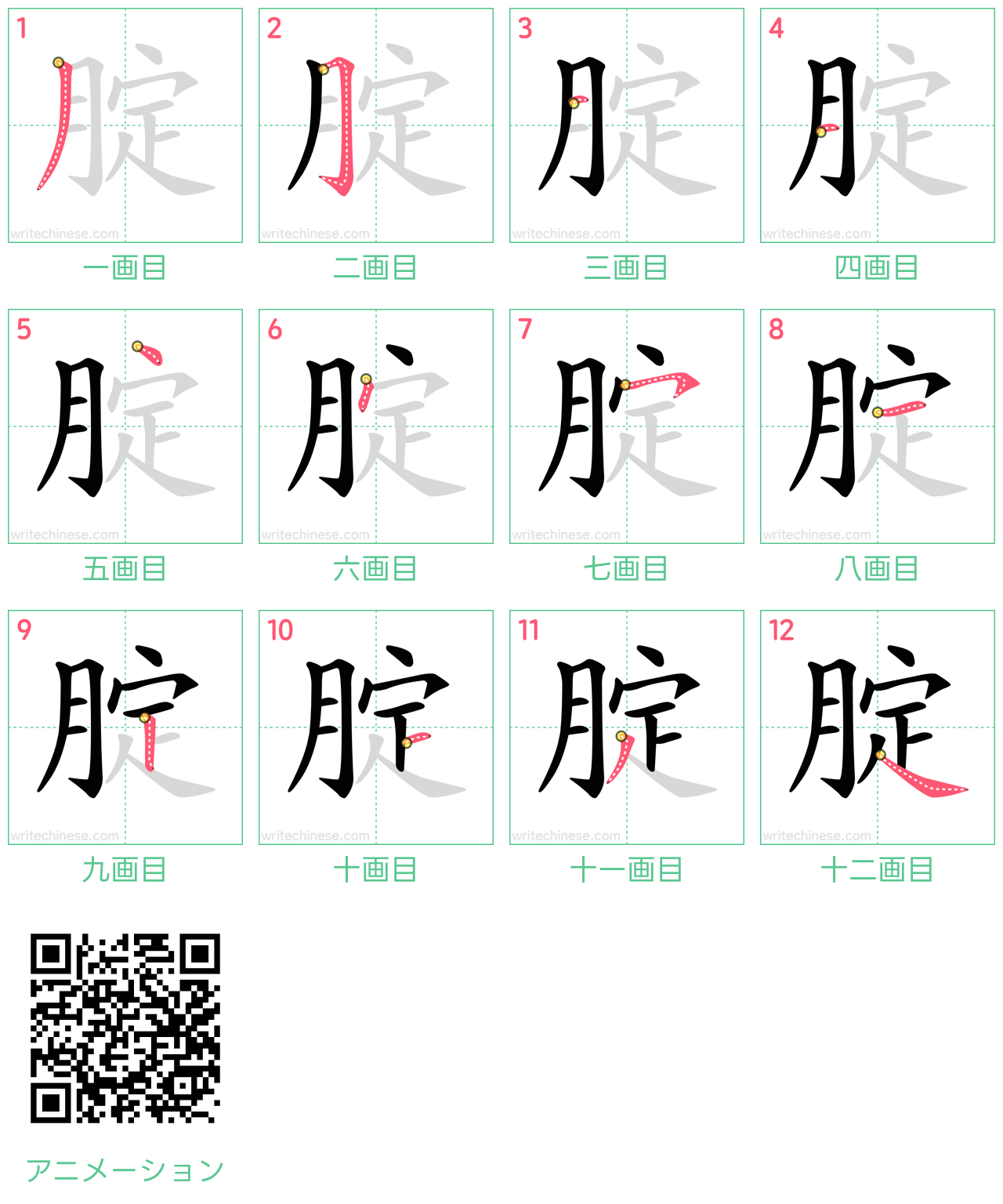 中国語の漢字「腚」の書き順 筆順