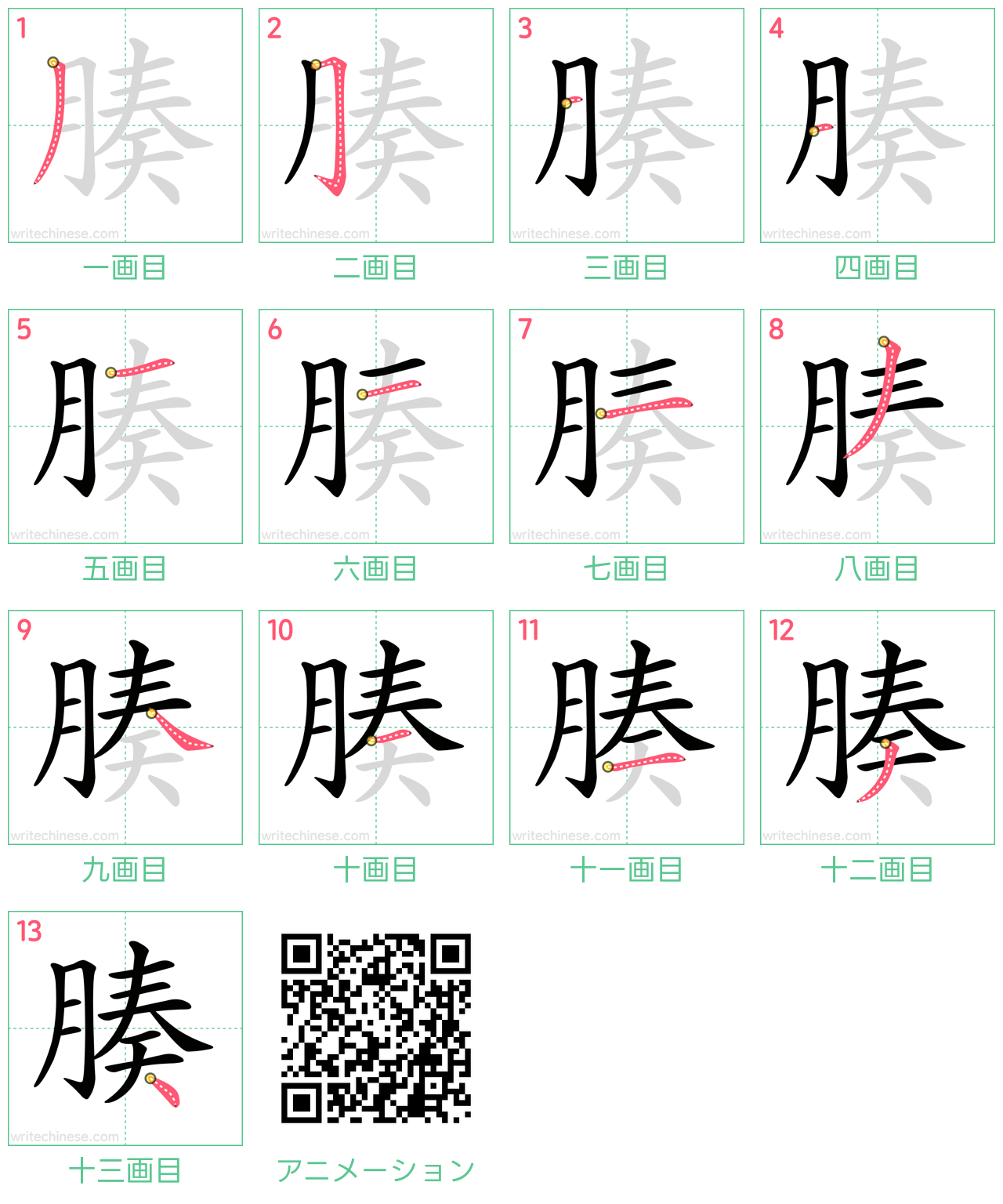 中国語の漢字「腠」の書き順 筆順