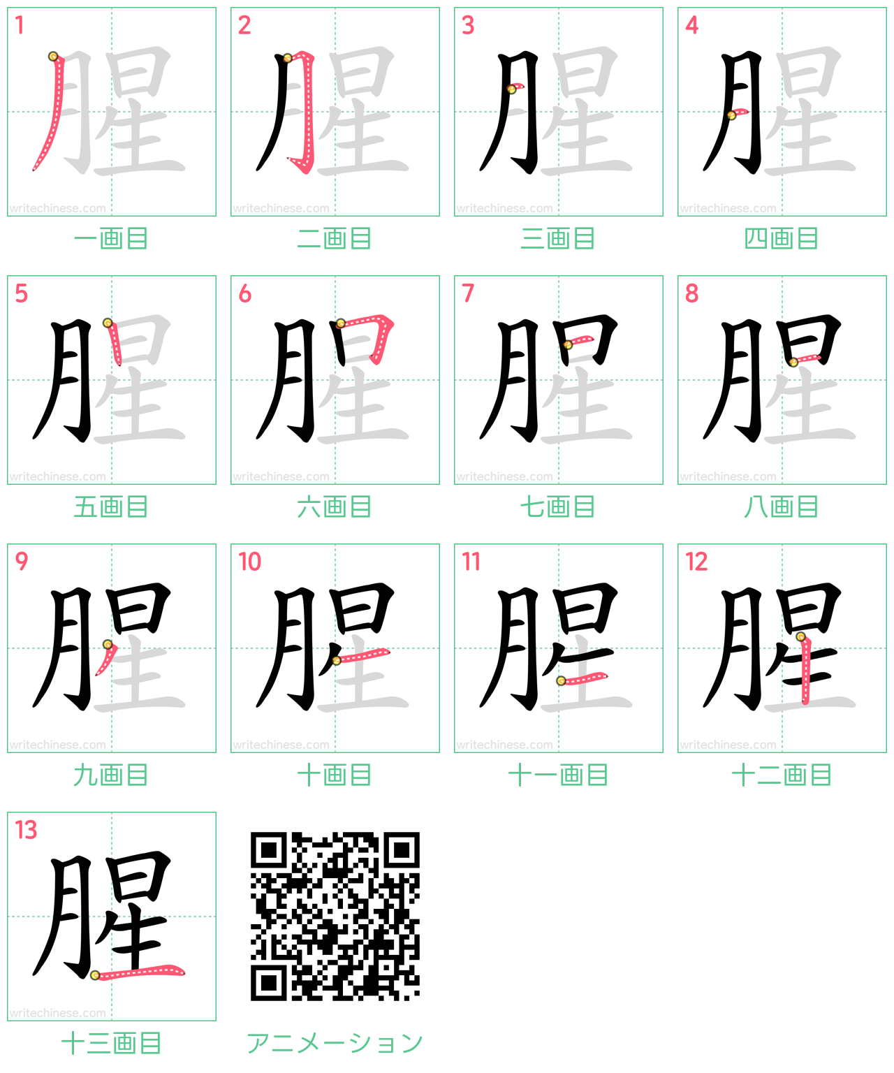 中国語の漢字「腥」の書き順 筆順