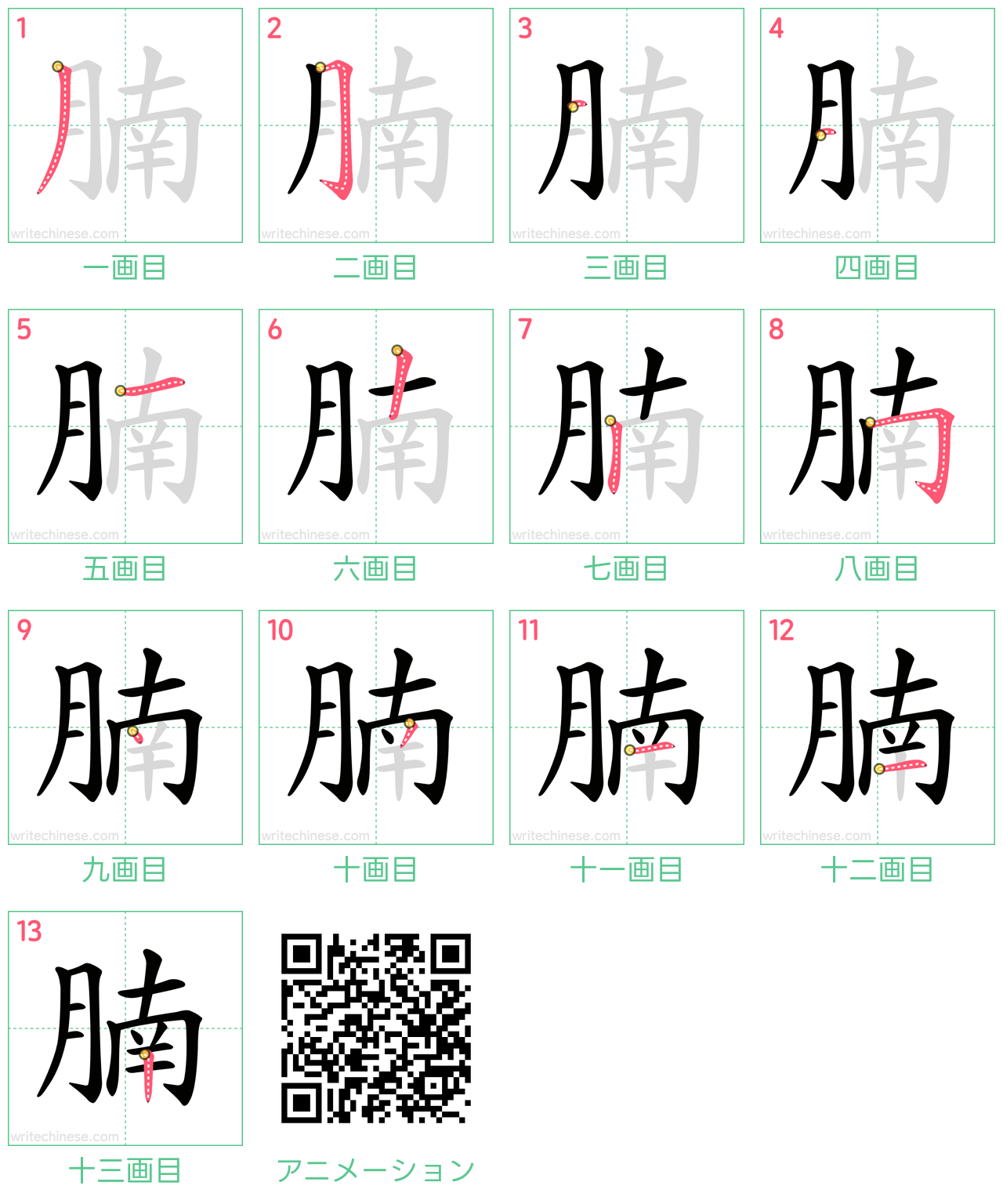 中国語の漢字「腩」の書き順 筆順