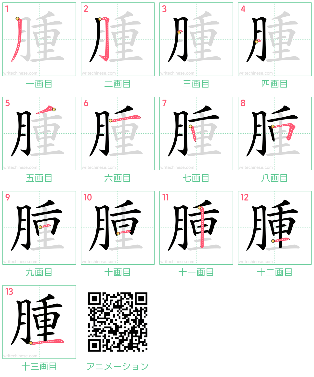 中国語の漢字「腫」の書き順 筆順