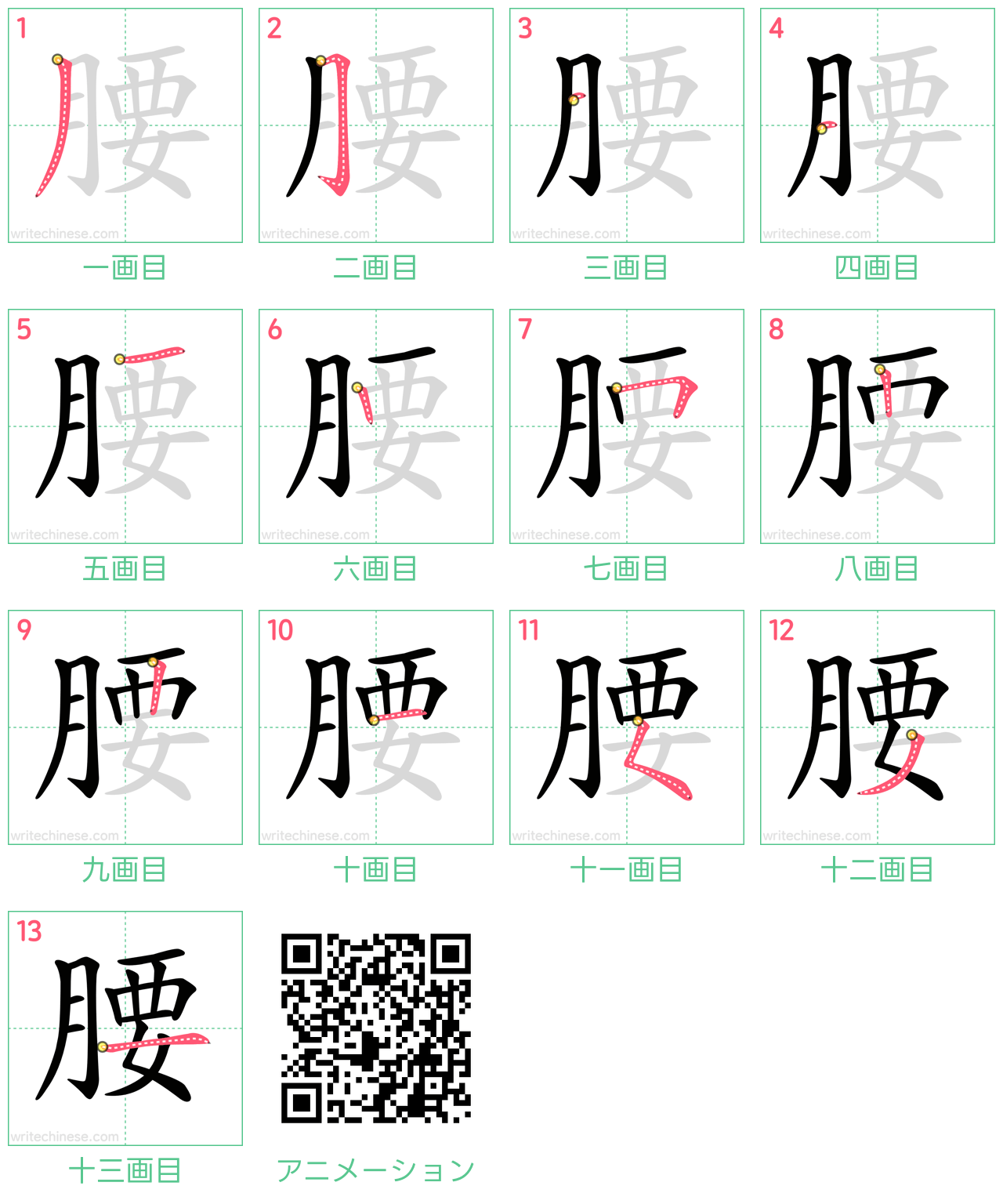 中国語の漢字「腰」の書き順 筆順