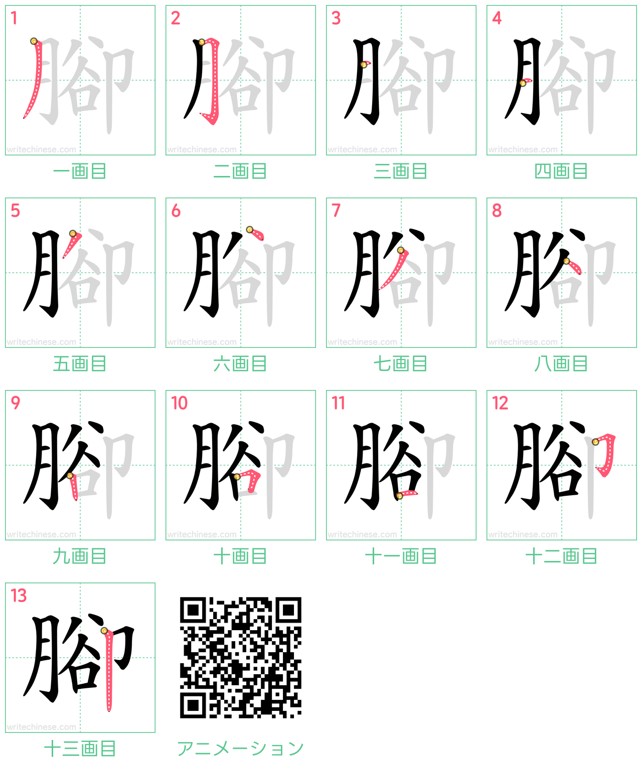 中国語の漢字「腳」の書き順 筆順