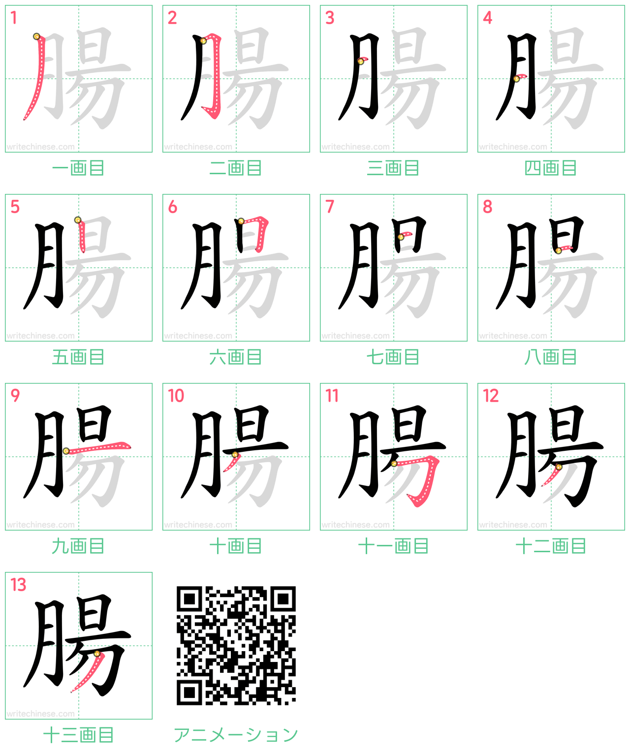 中国語の漢字「腸」の書き順 筆順