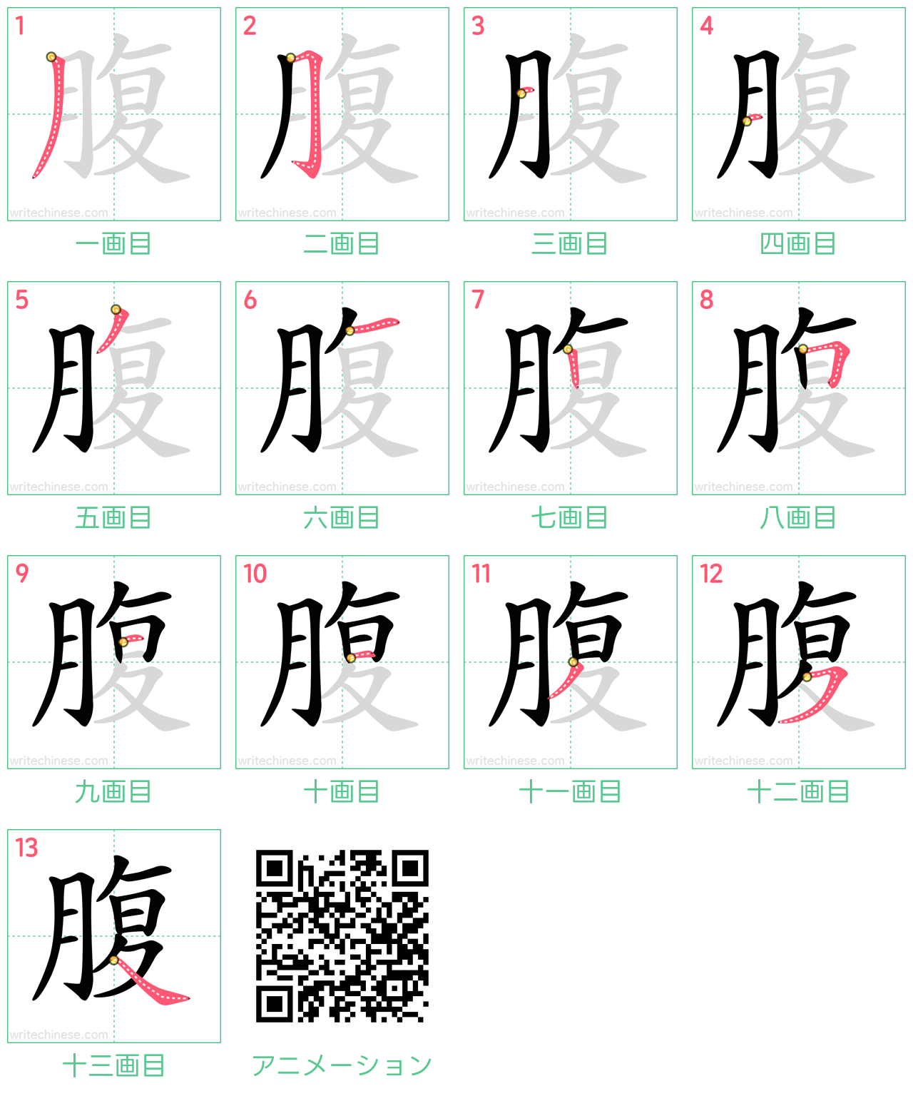 中国語の漢字「腹」の書き順 筆順