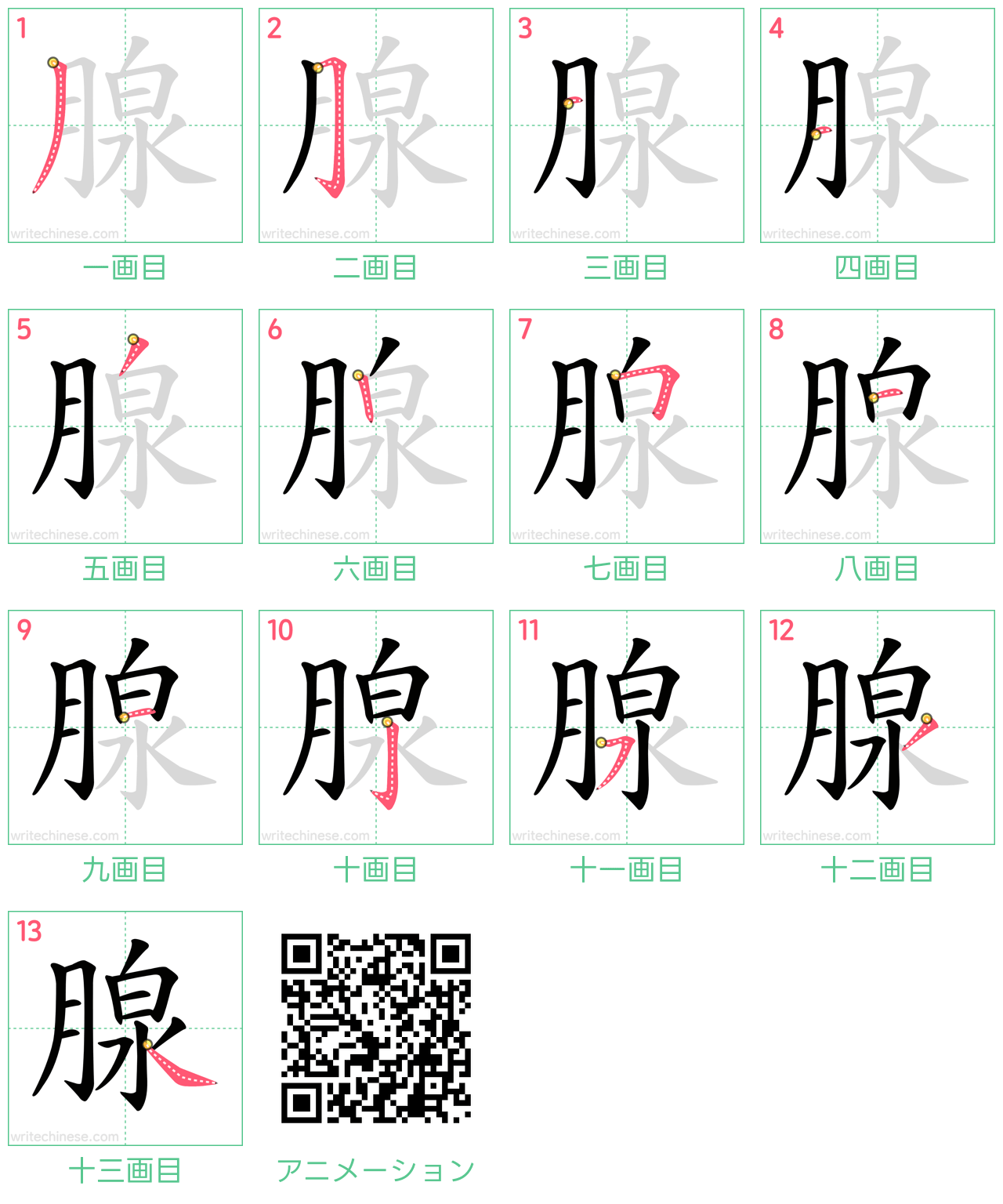 中国語の漢字「腺」の書き順 筆順