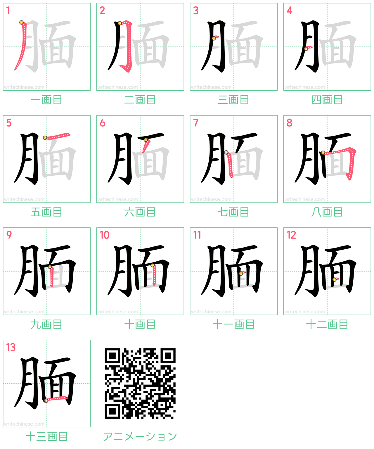 中国語の漢字「腼」の書き順 筆順
