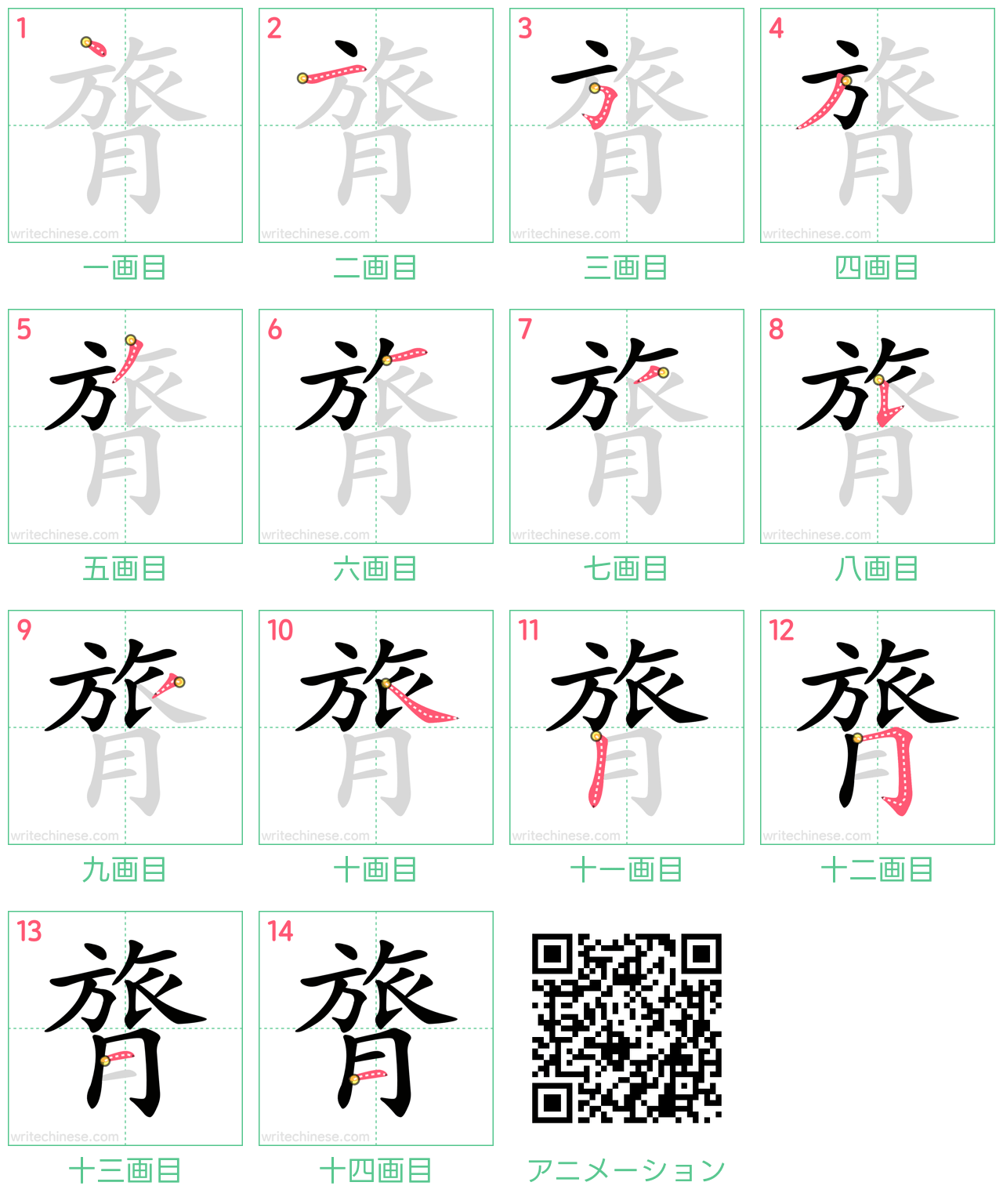 中国語の漢字「膂」の書き順 筆順