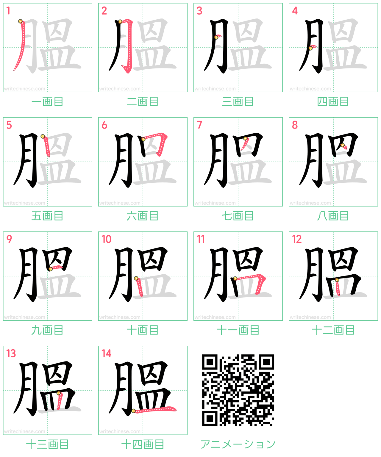 中国語の漢字「膃」の書き順 筆順