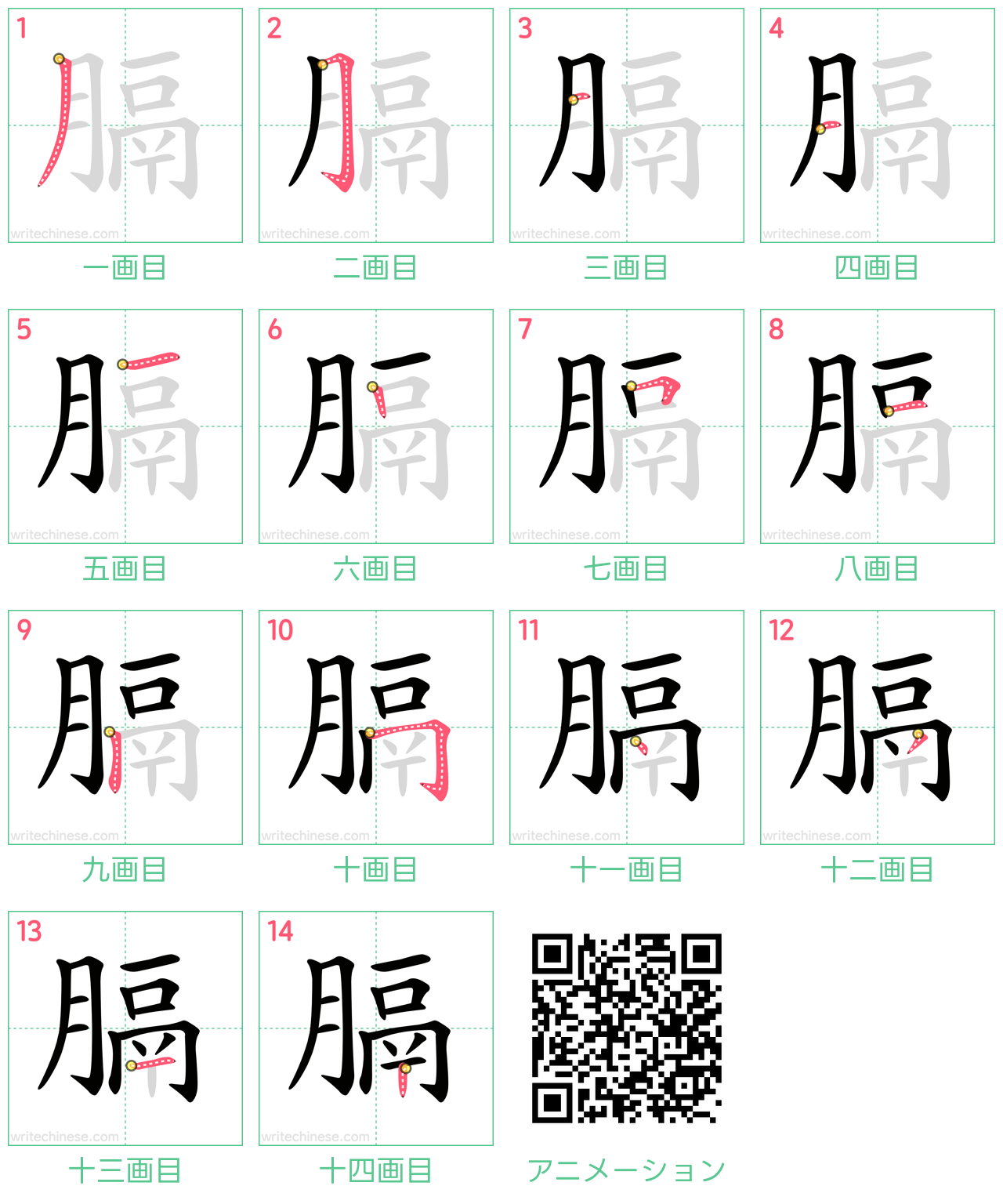 中国語の漢字「膈」の書き順 筆順