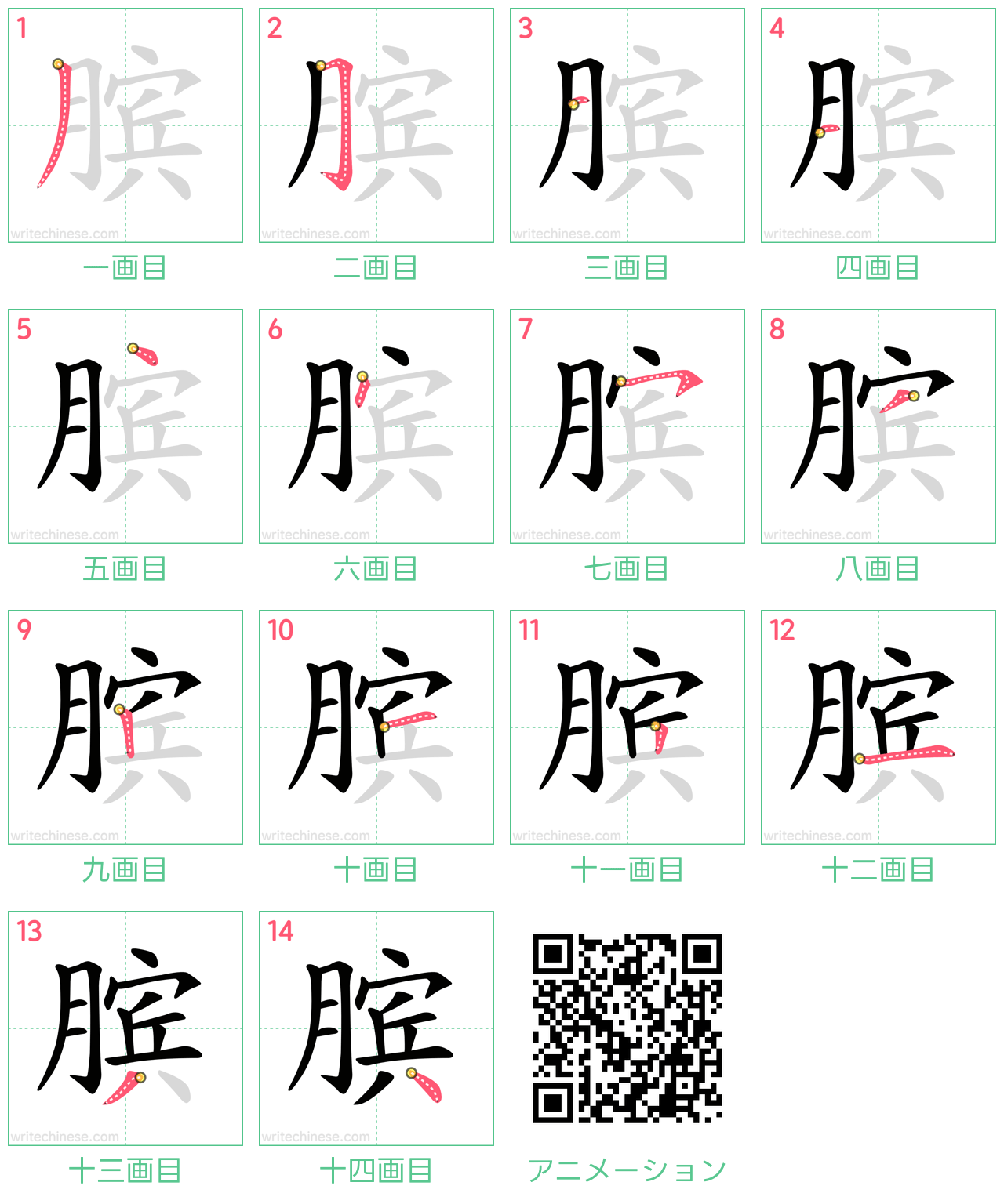 中国語の漢字「膑」の書き順 筆順