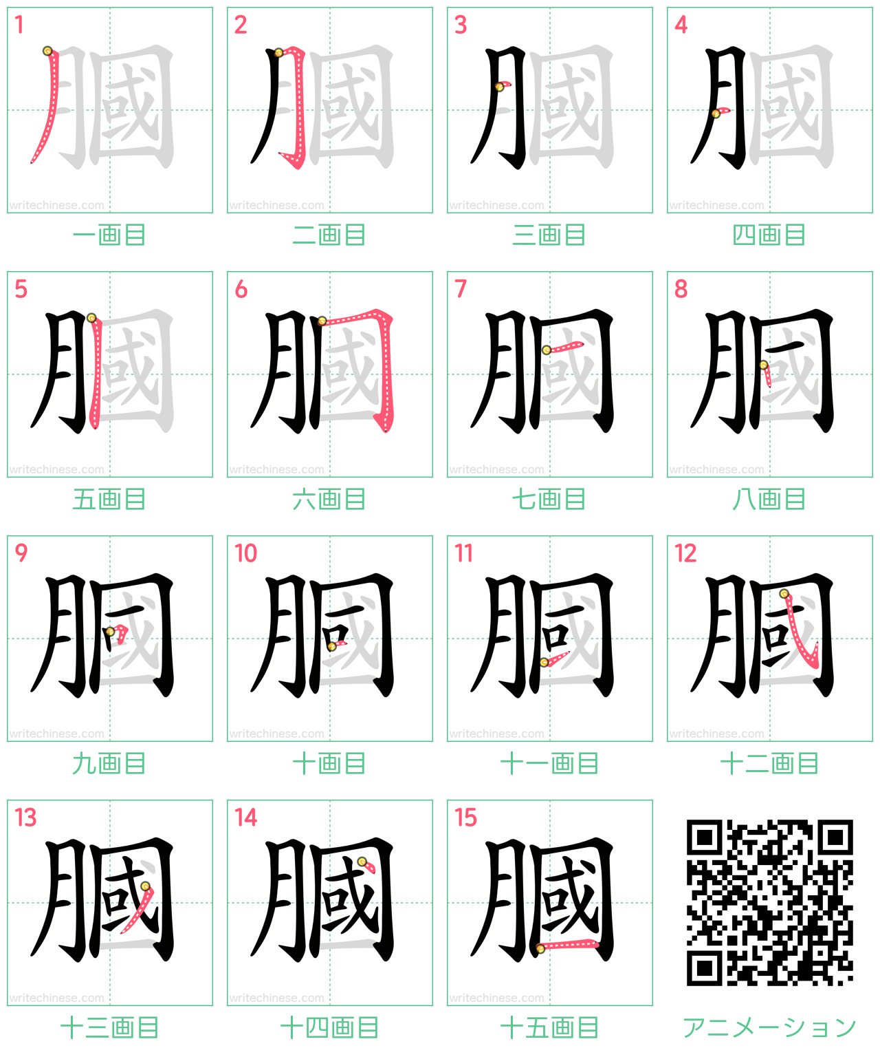 中国語の漢字「膕」の書き順 筆順