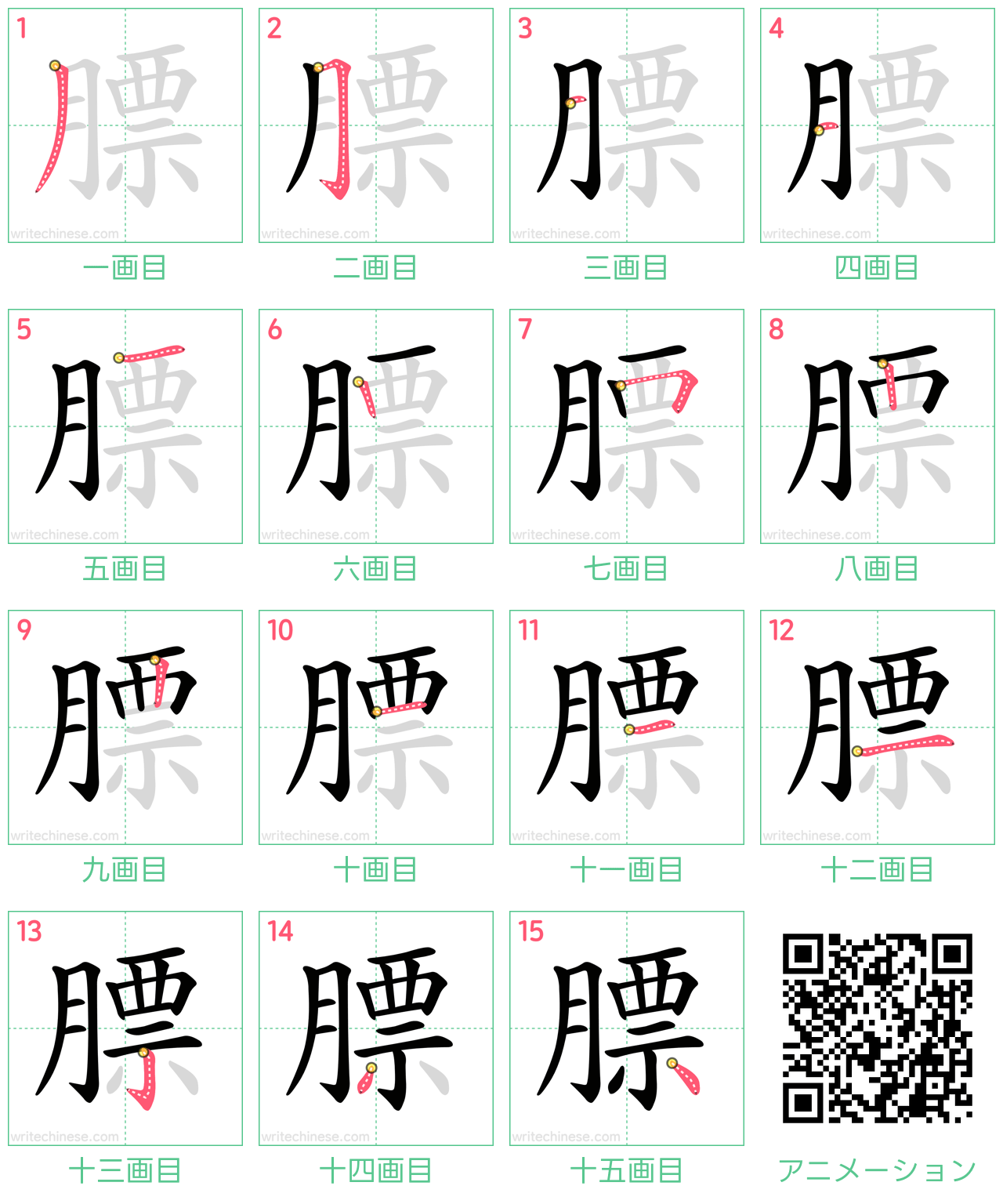 中国語の漢字「膘」の書き順 筆順