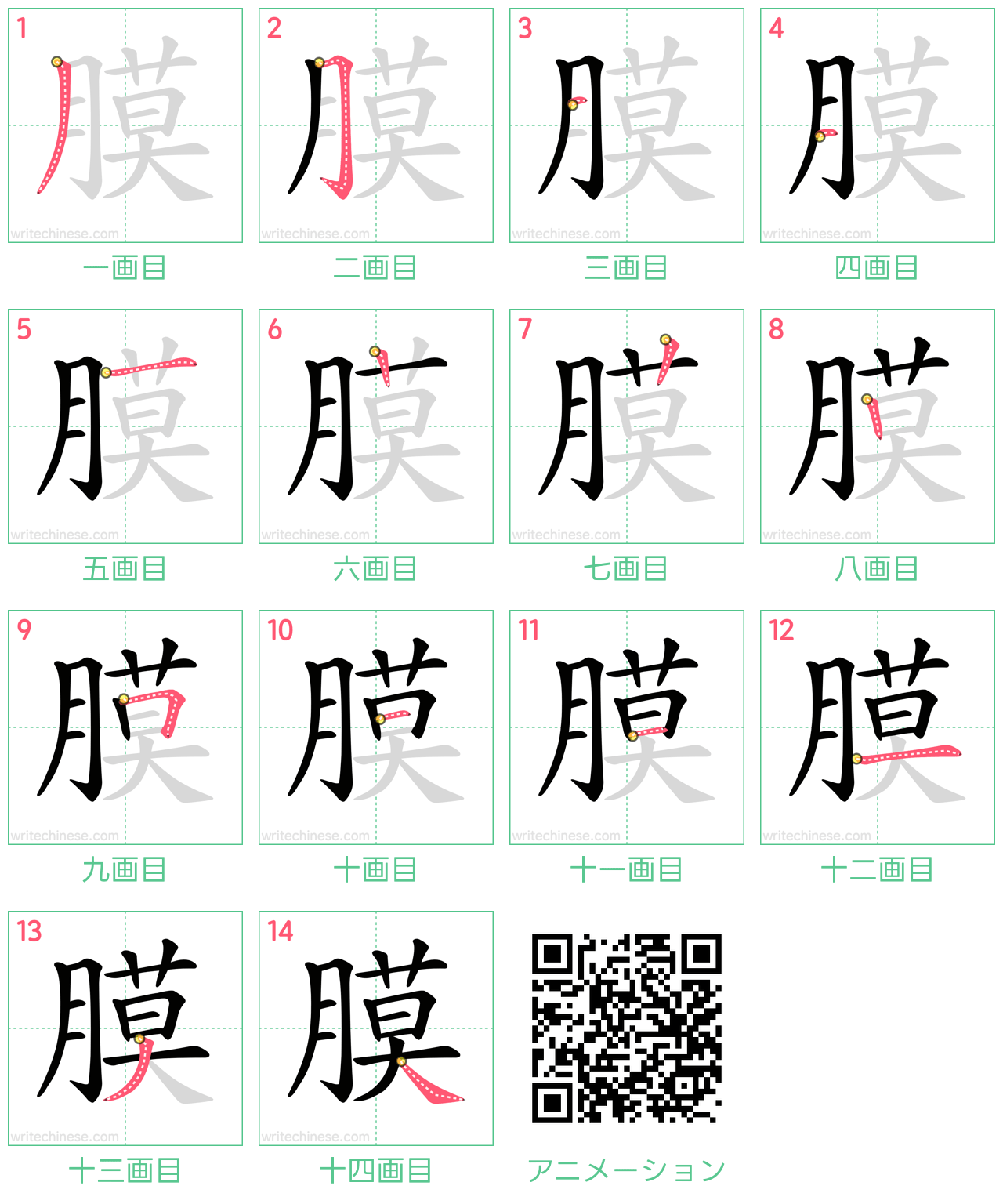 中国語の漢字「膜」の書き順 筆順