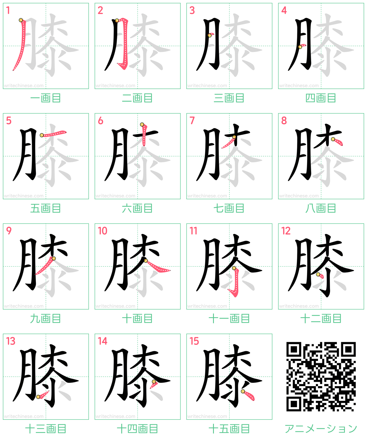 中国語の漢字「膝」の書き順 筆順