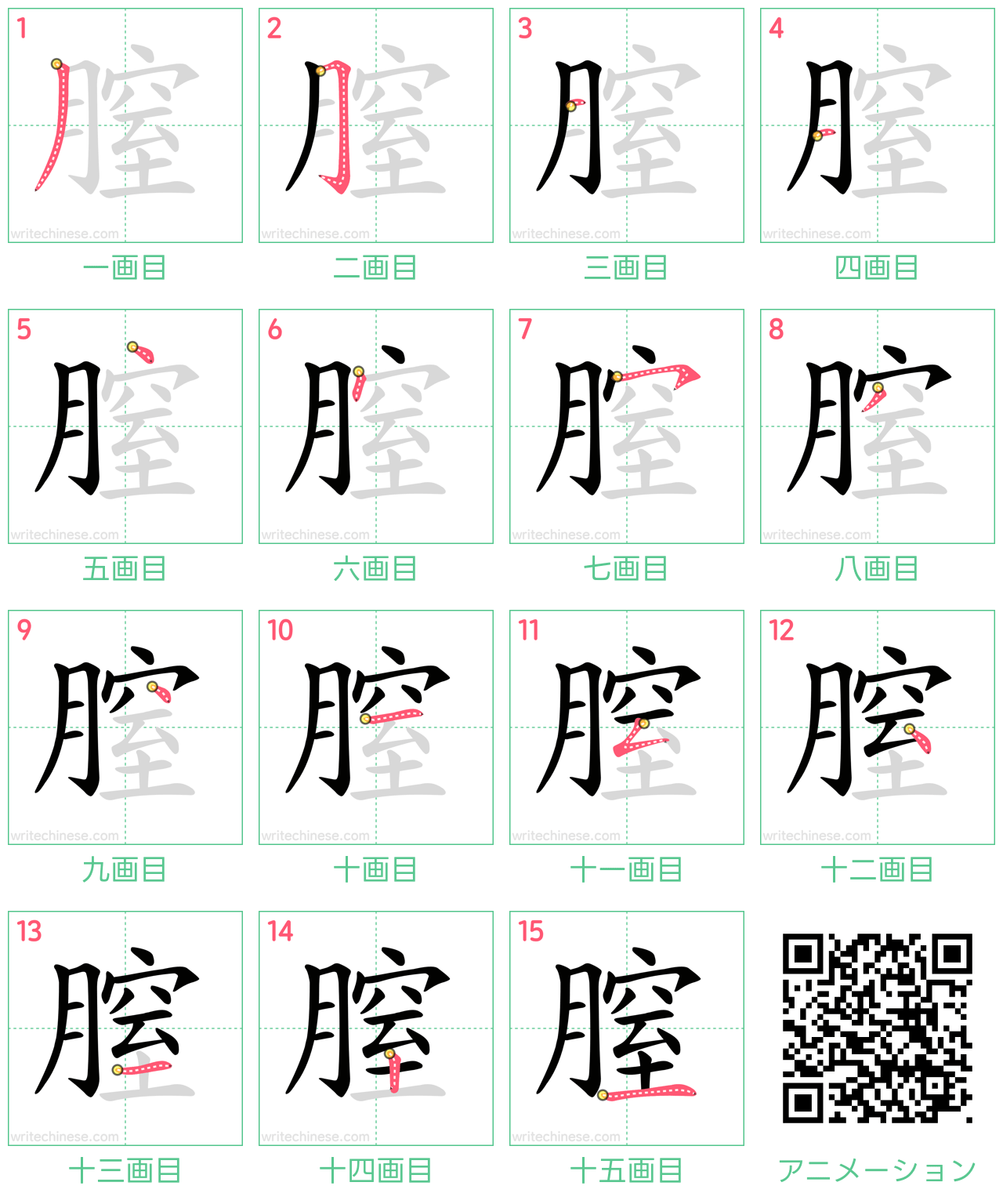 中国語の漢字「膣」の書き順 筆順