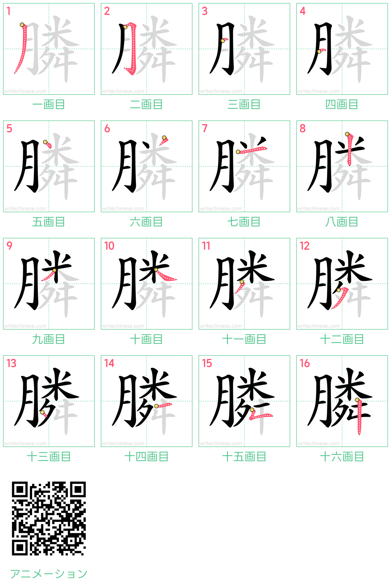 中国語の漢字「膦」の書き順 筆順