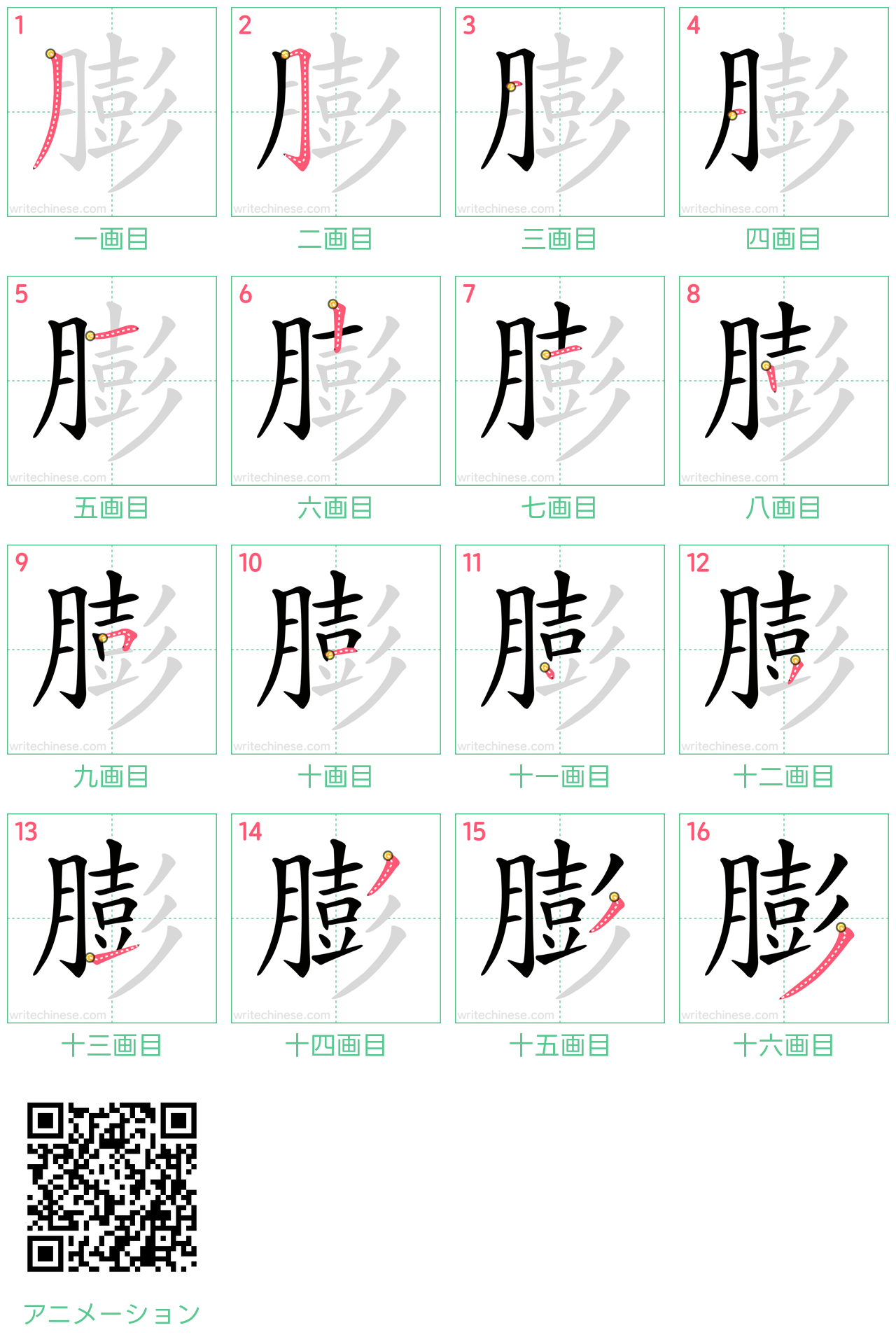 中国語の漢字「膨」の書き順 筆順