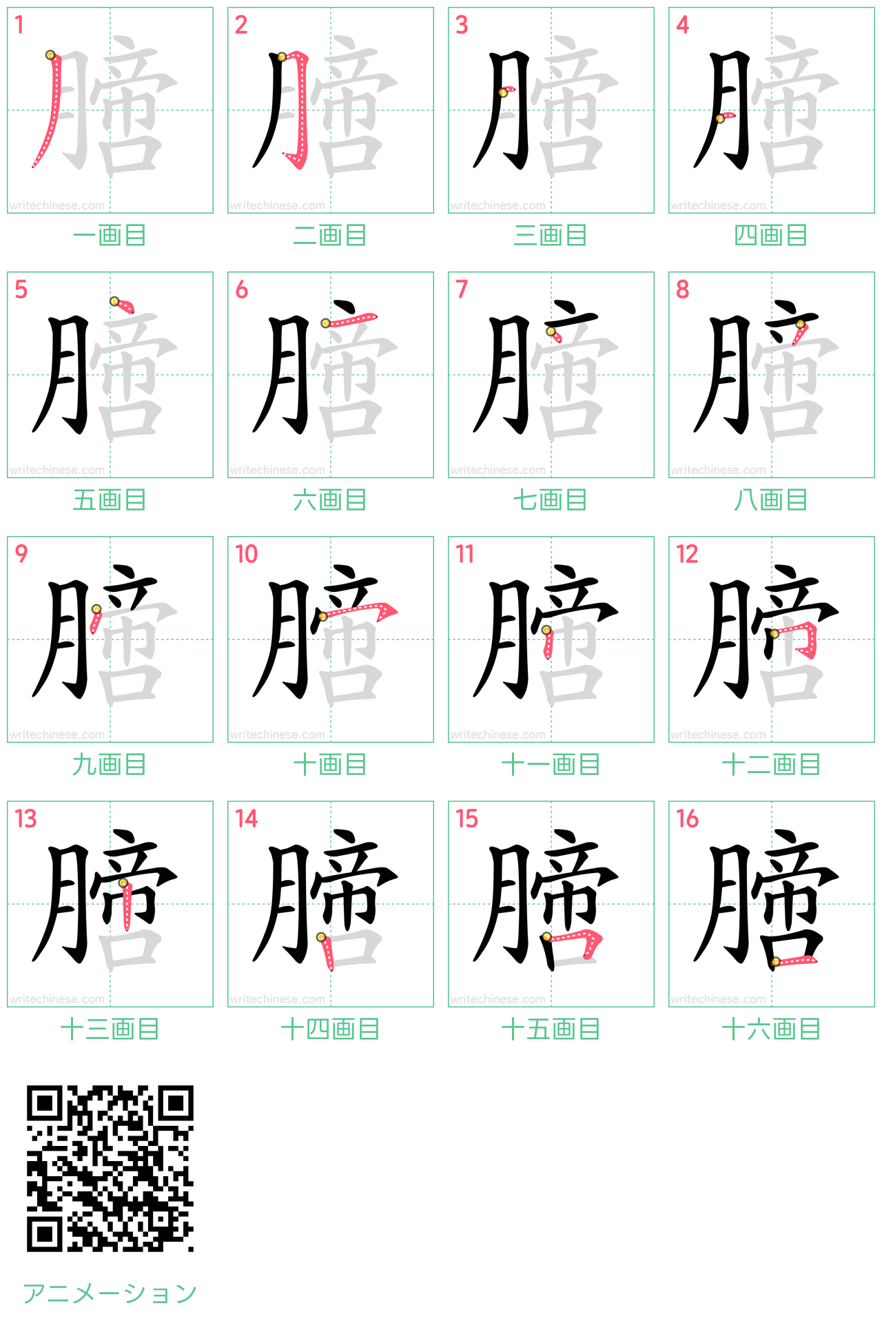 中国語の漢字「膪」の書き順 筆順