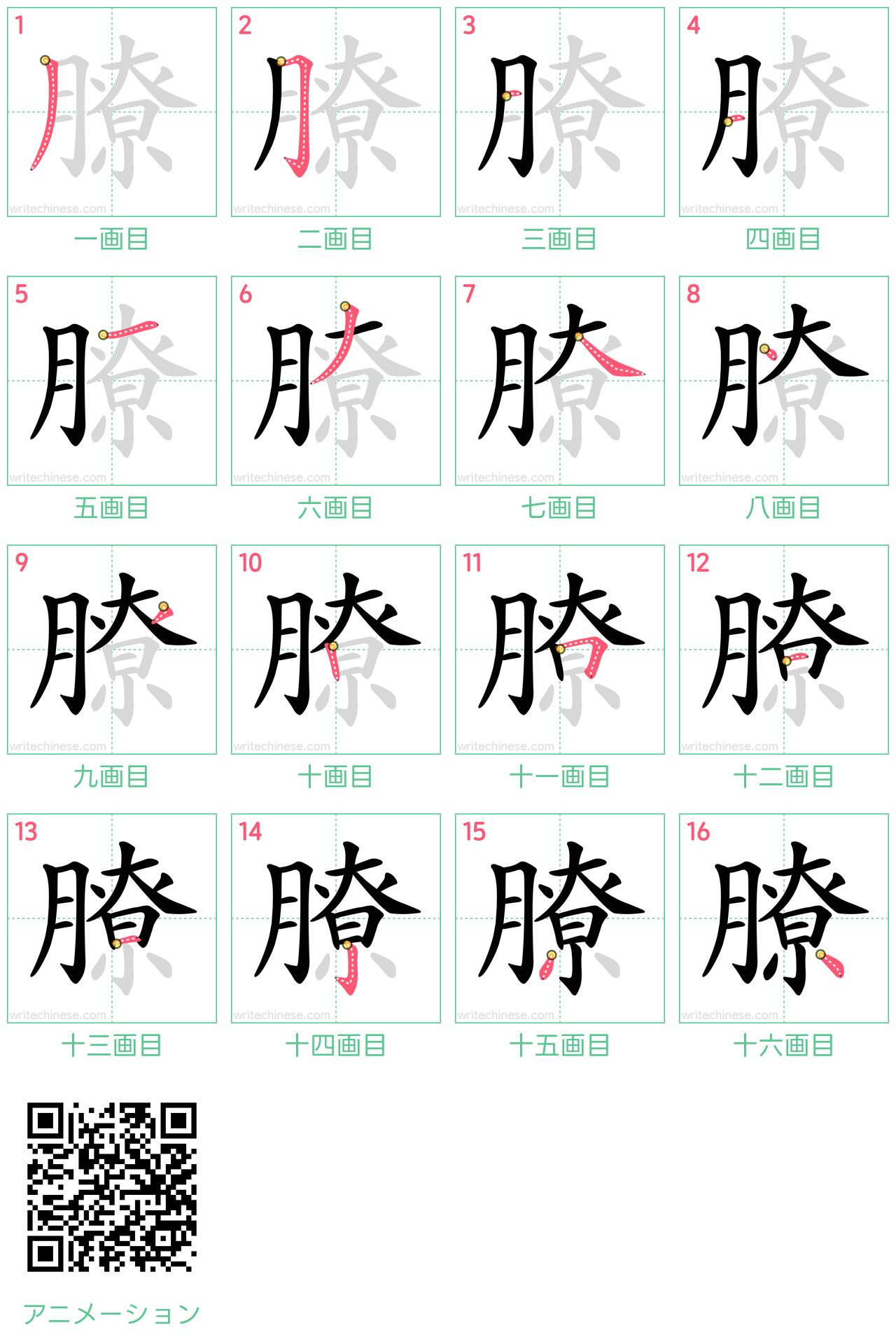 中国語の漢字「膫」の書き順 筆順