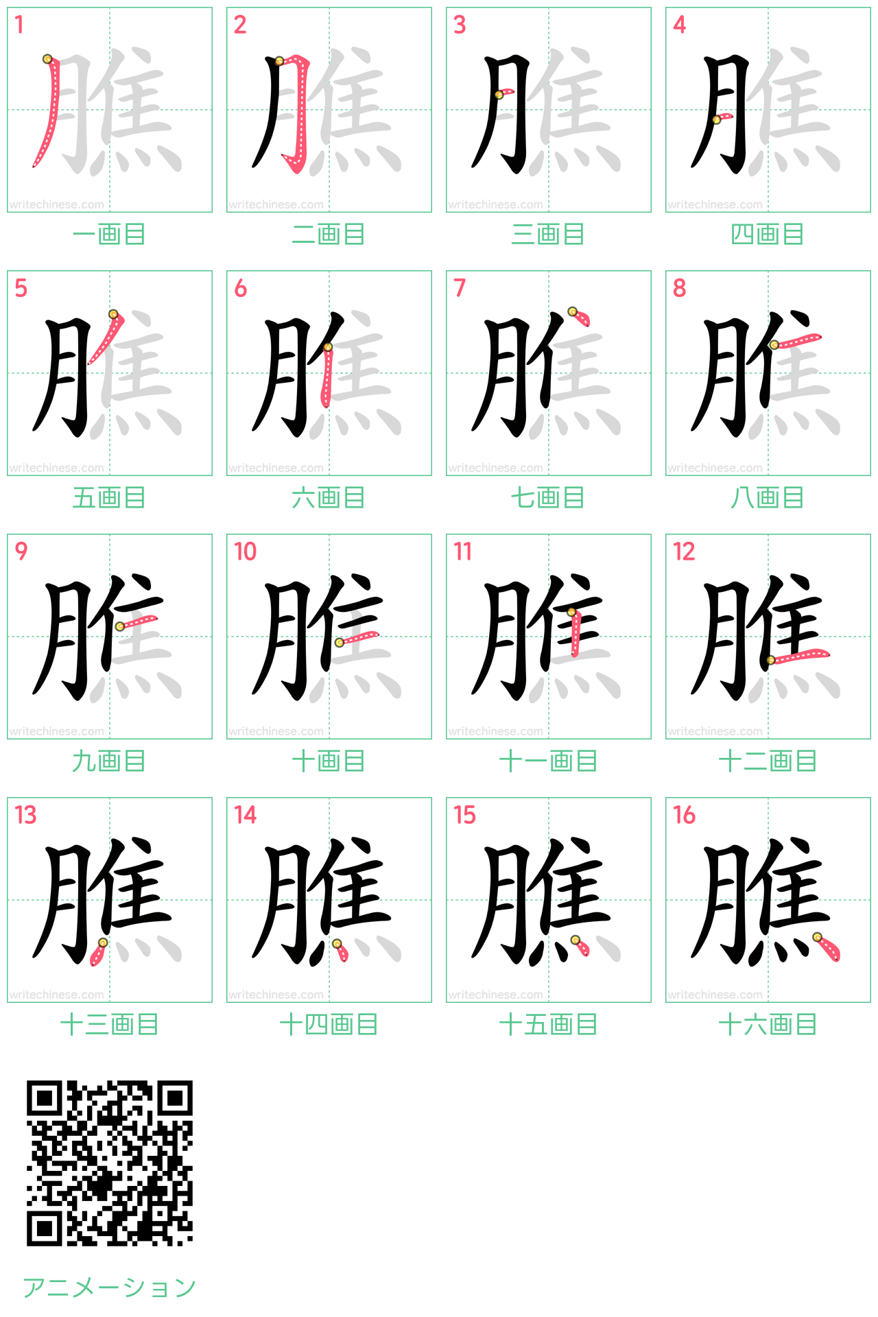 中国語の漢字「膲」の書き順 筆順